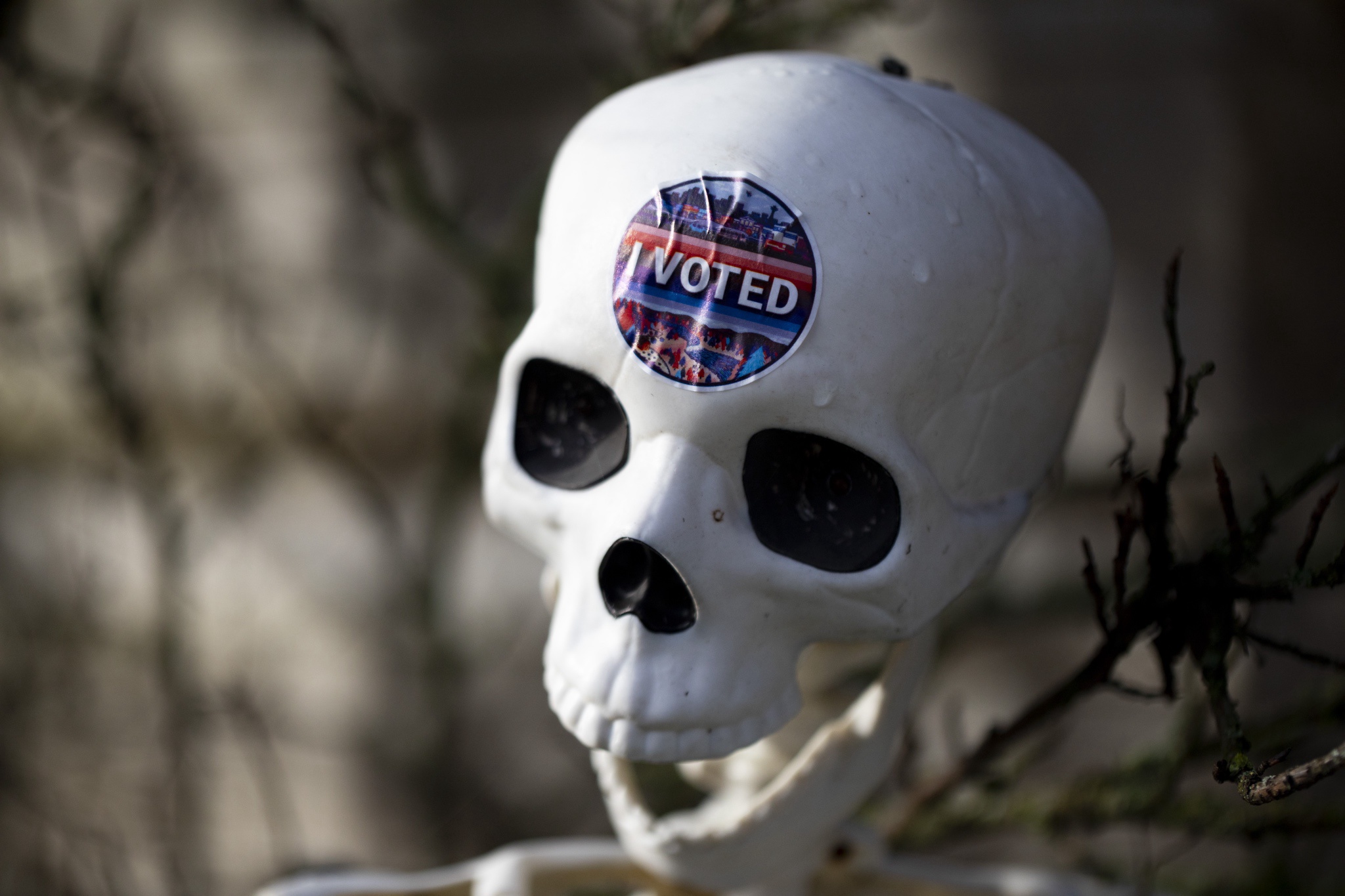 I cast my vote!