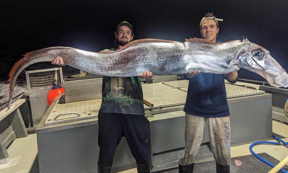 Australian Fishermen Hook a Mysterious 'Doomsday Fish' That Resembles a Sinister Horse