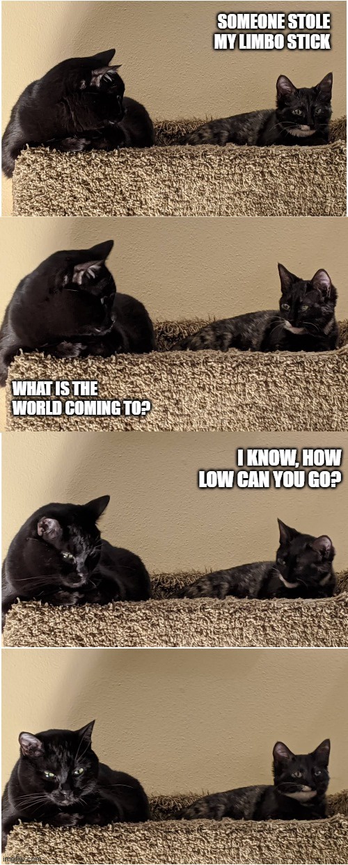 The Adventures of Splunk and Smudge
