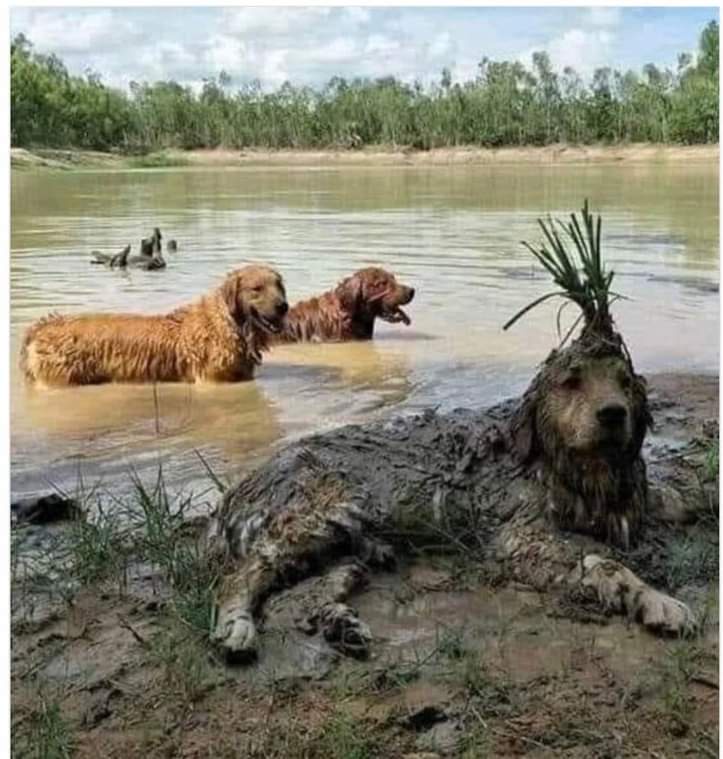 When You're Trying to Evade the Predator but Still Want to Look Stylish