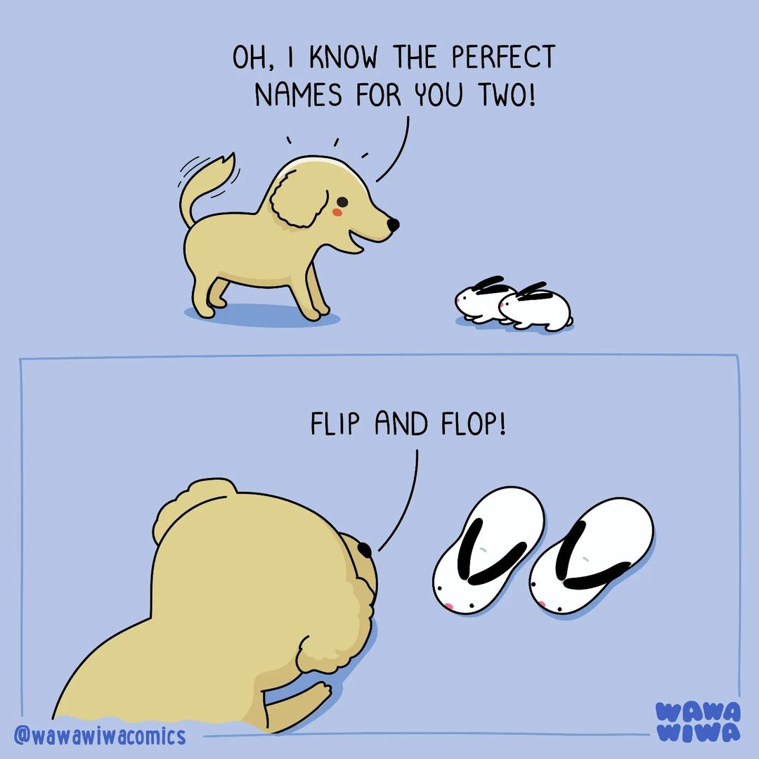Let's clarify: it's the left slipper and the right slipper!
