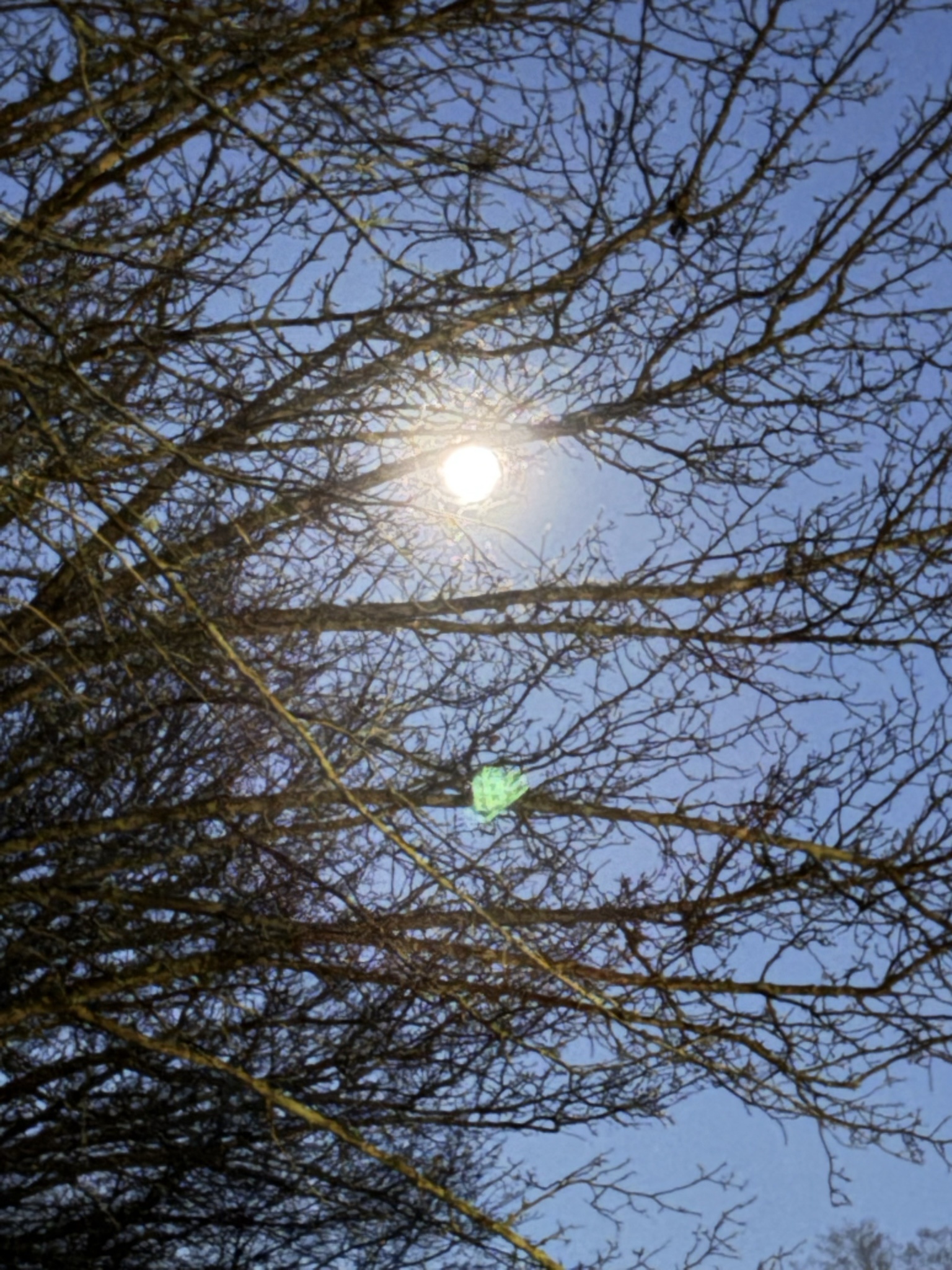 Capturing the Moon: A Stunning Shot