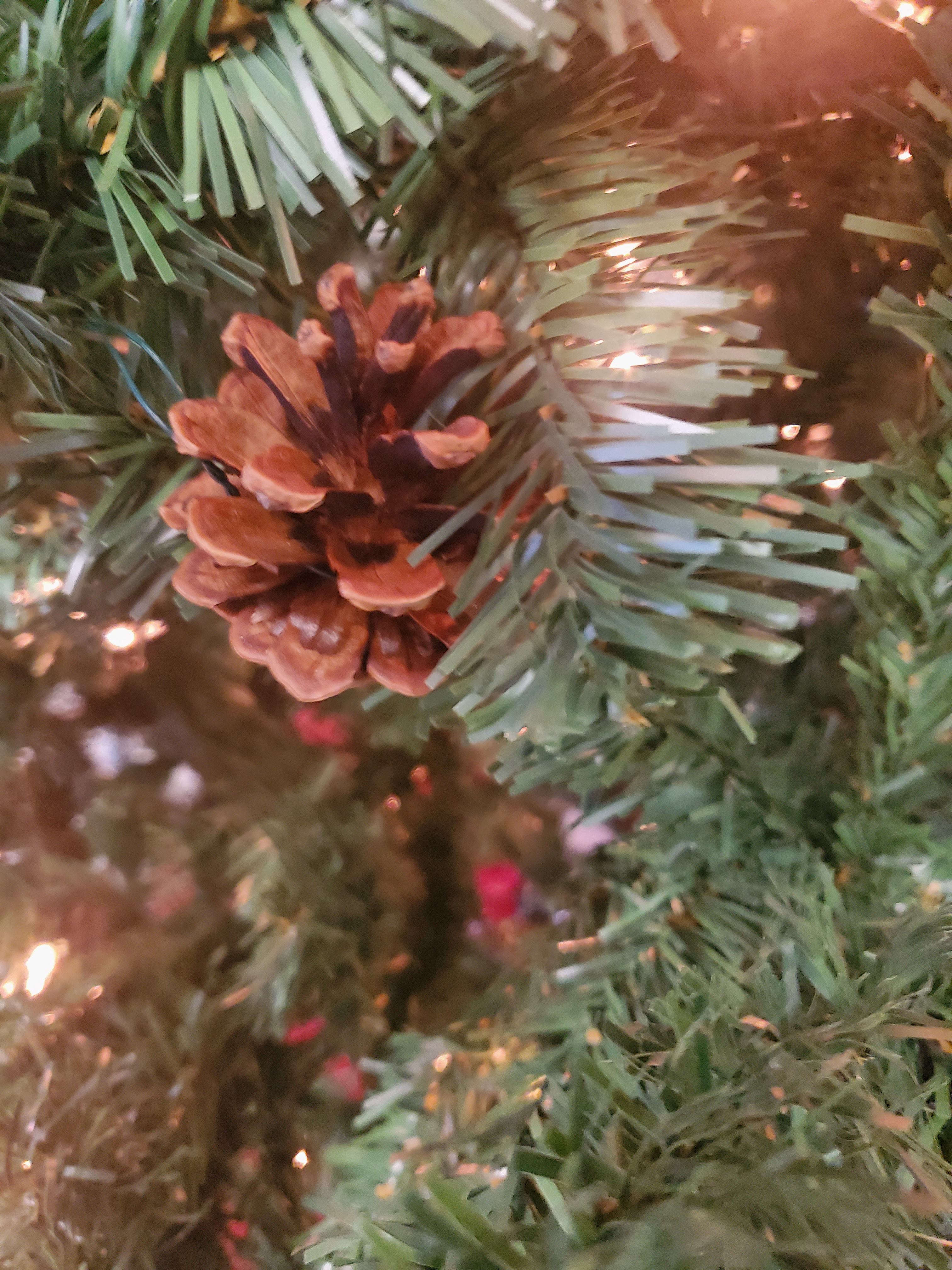 Watch Out for the PINECONE!