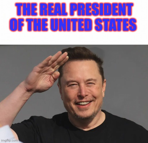 Musk: The New Monarch of MAGA