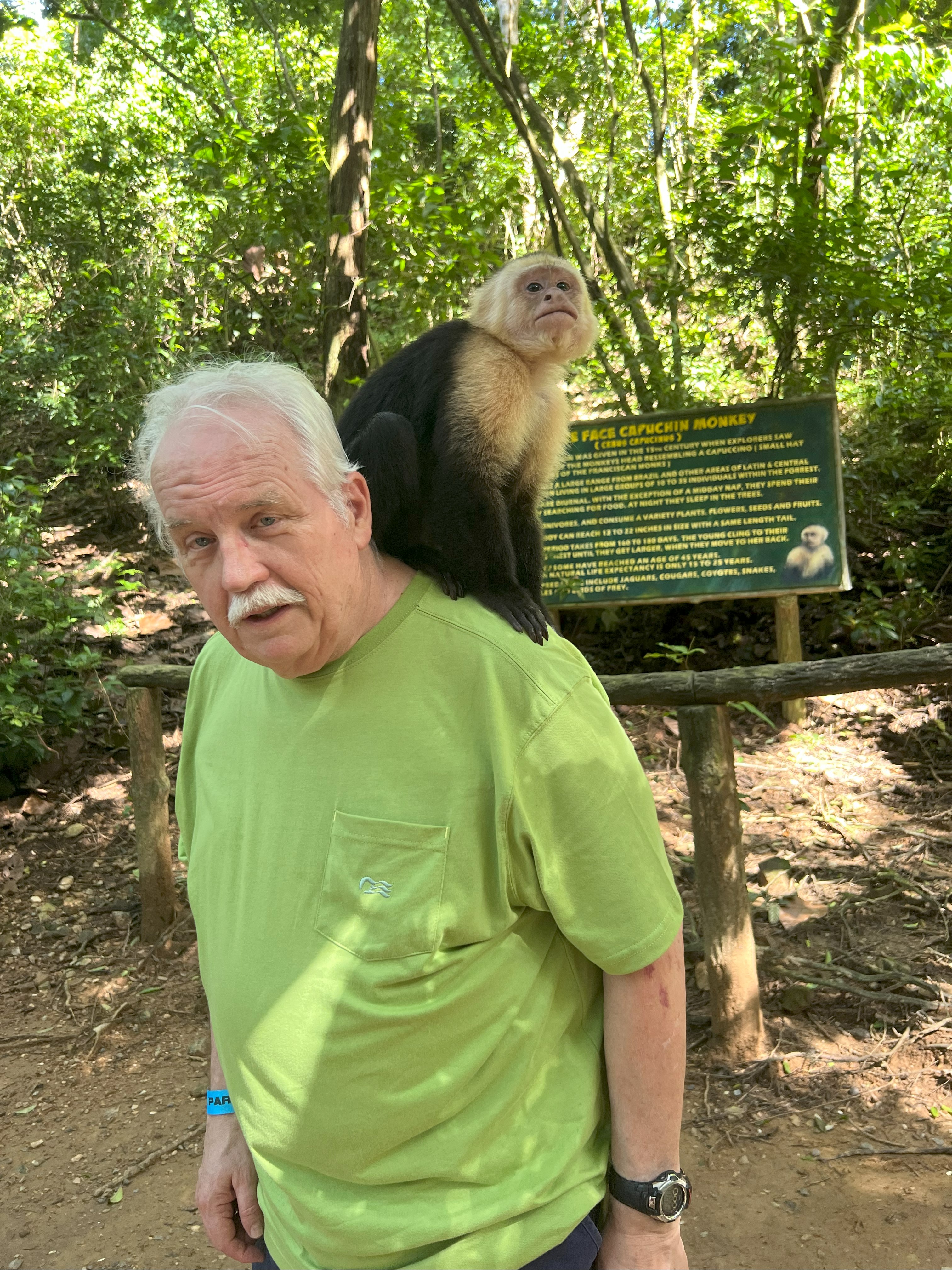 When Someone Says You've Got a Monkey on Your Back!