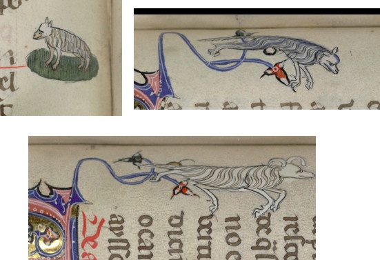 Curious about some fascinating medieval creatures? Let's take a look!