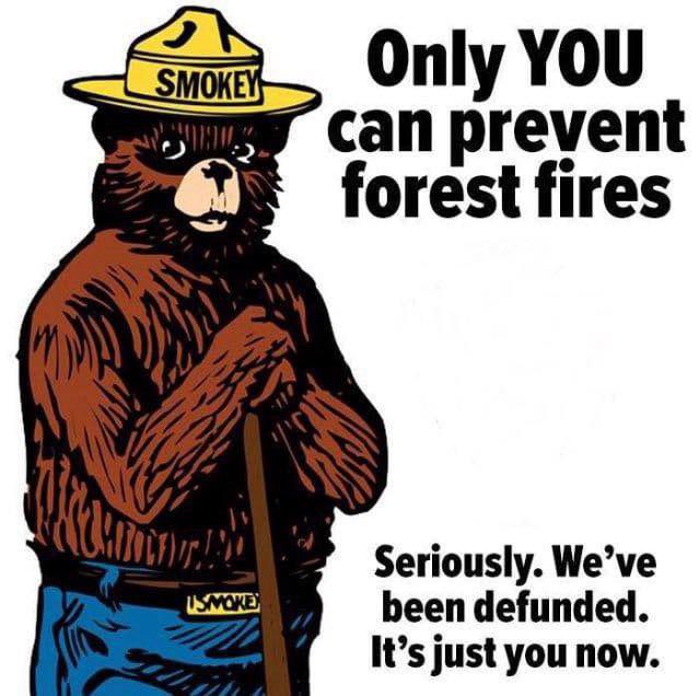 When Smokey the Bear Took Matters into His Own Hands