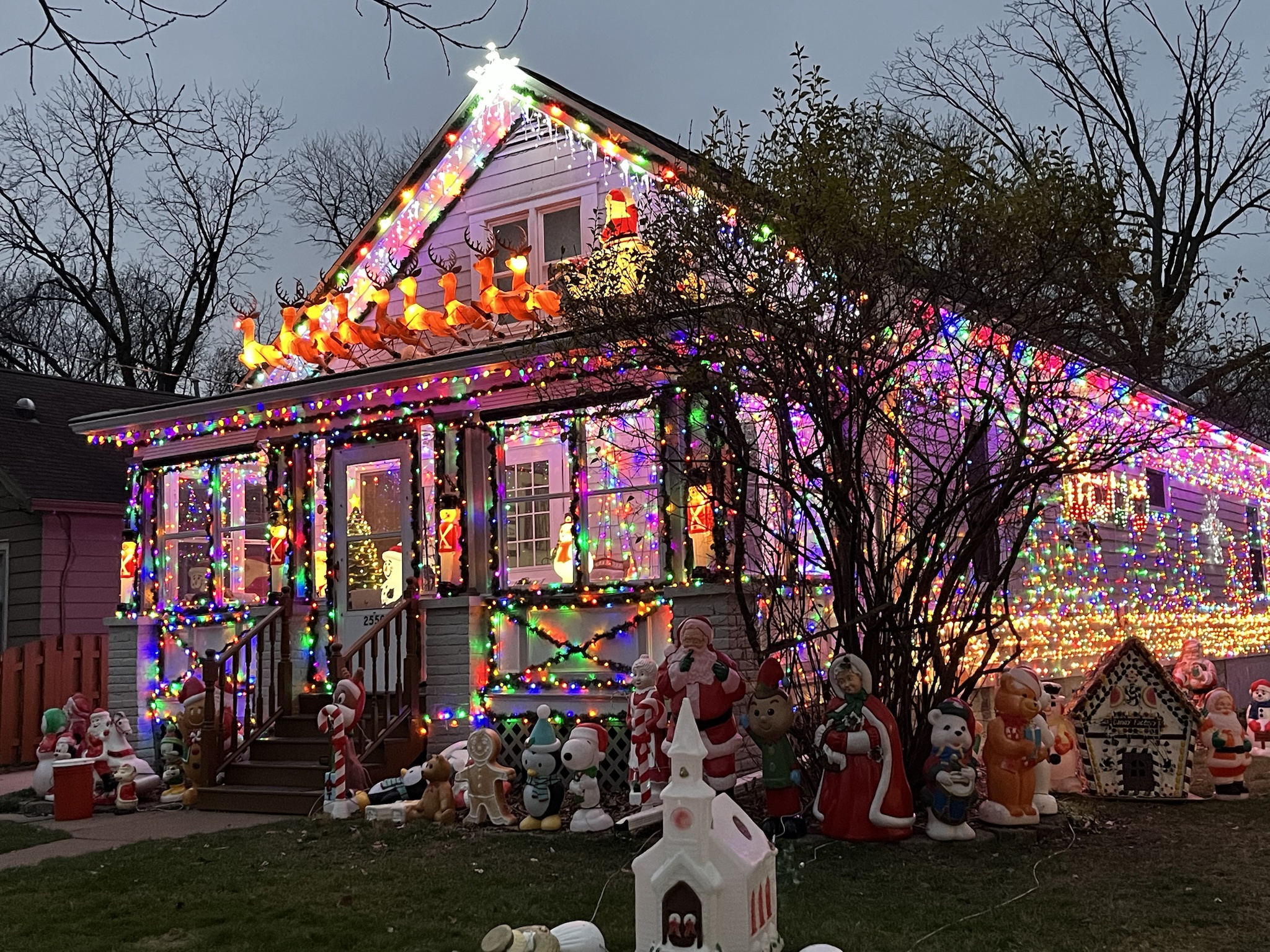 The Neighbor's House: A Festival of Lights!