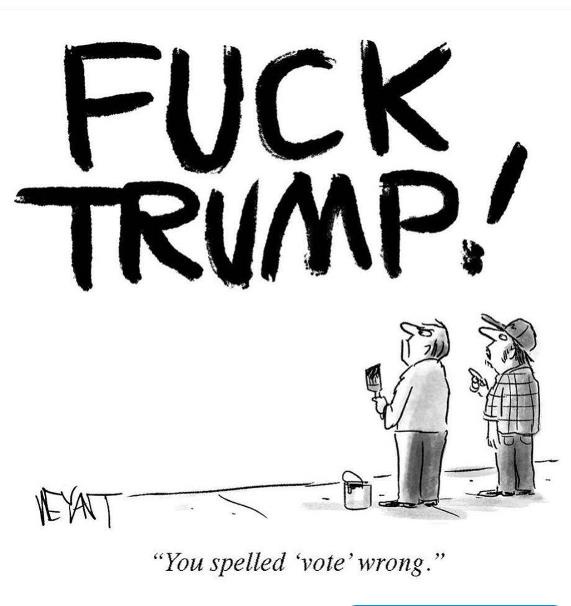 The Moment of Truth: Will USA Voters Ace Their IQ Test?