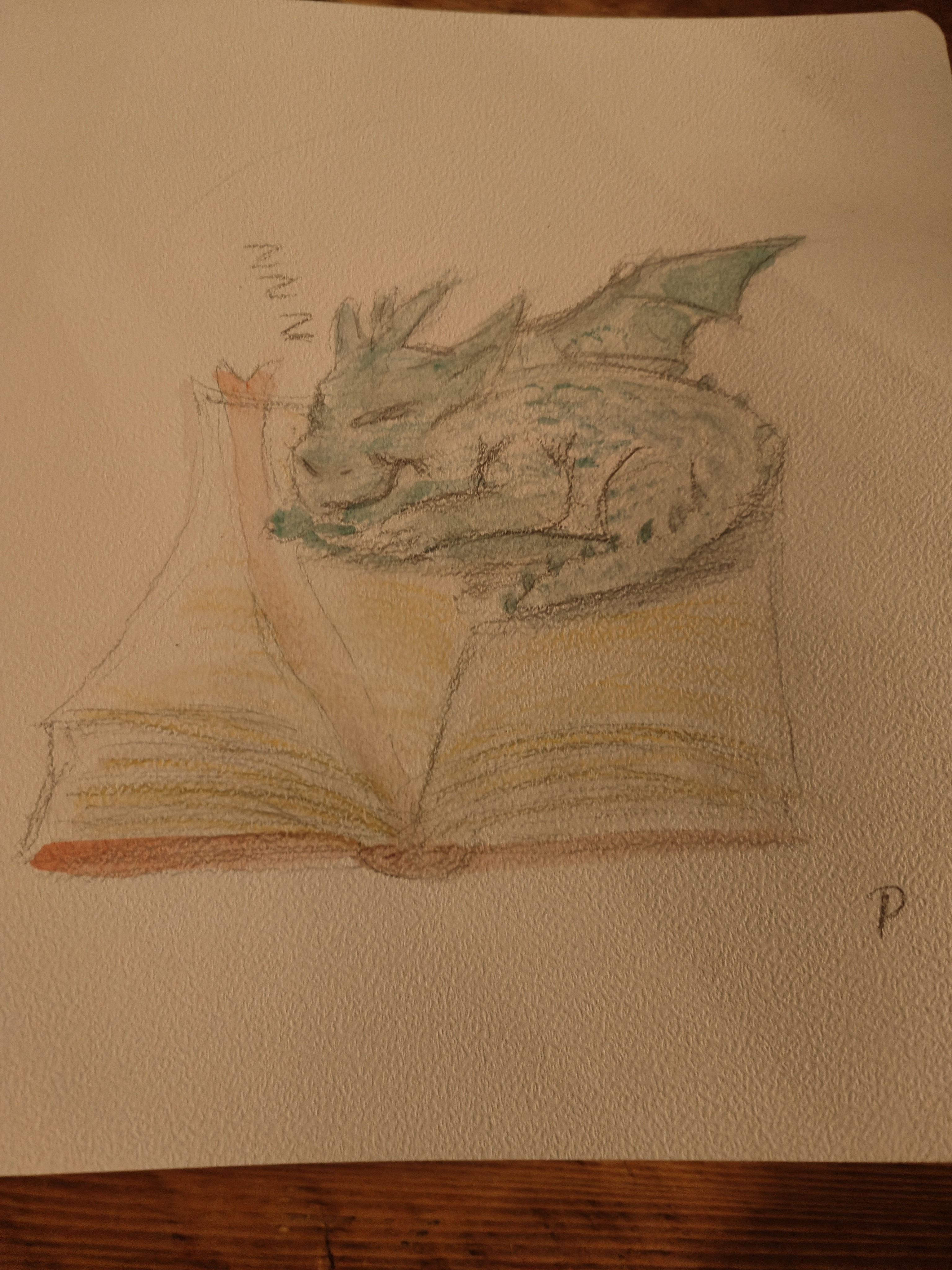 The Enigmatic Sleeping Dragon Book