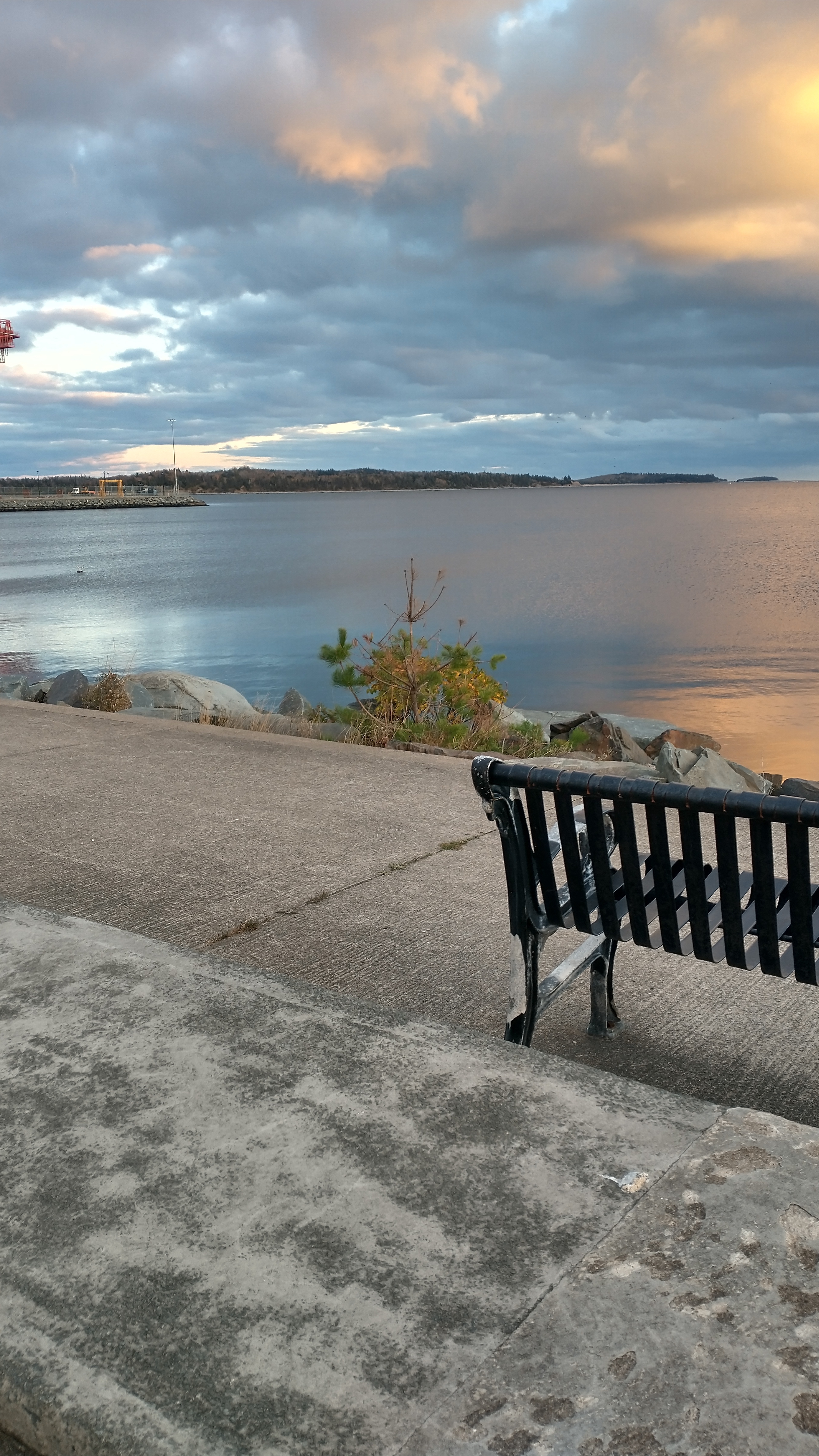 A Stunning View of the Ocean with a Cozy Bench