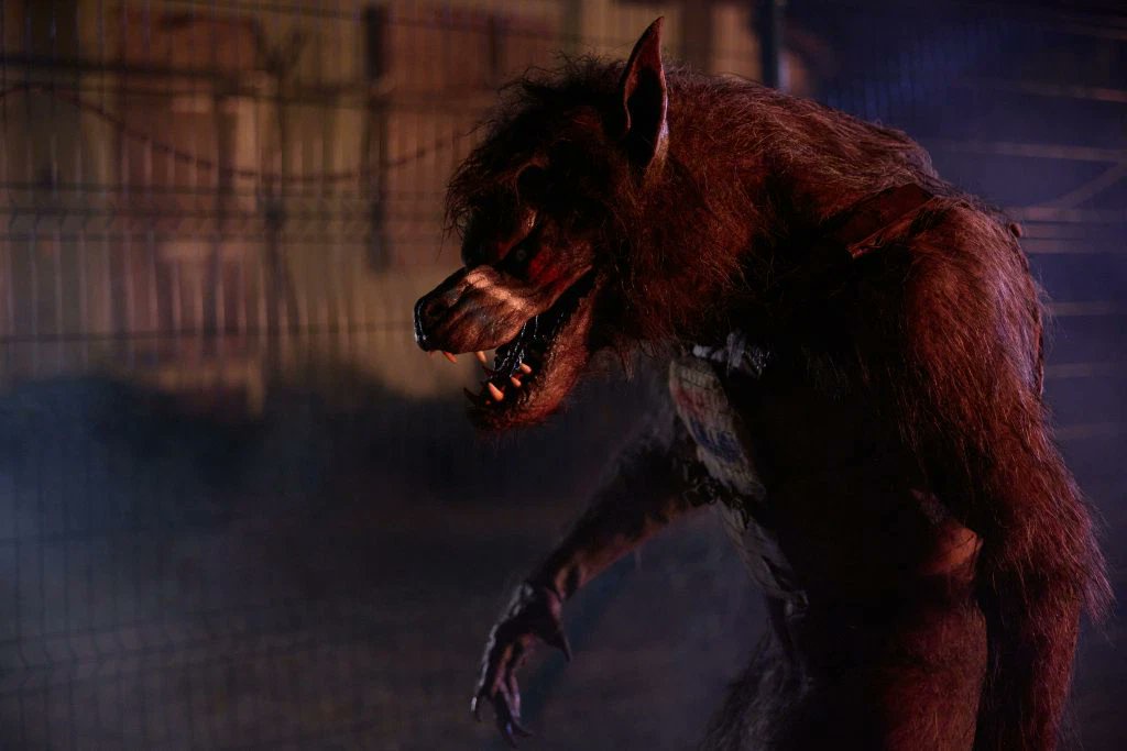 Five Werewolves Ready to Spook Van Helsing Tonight