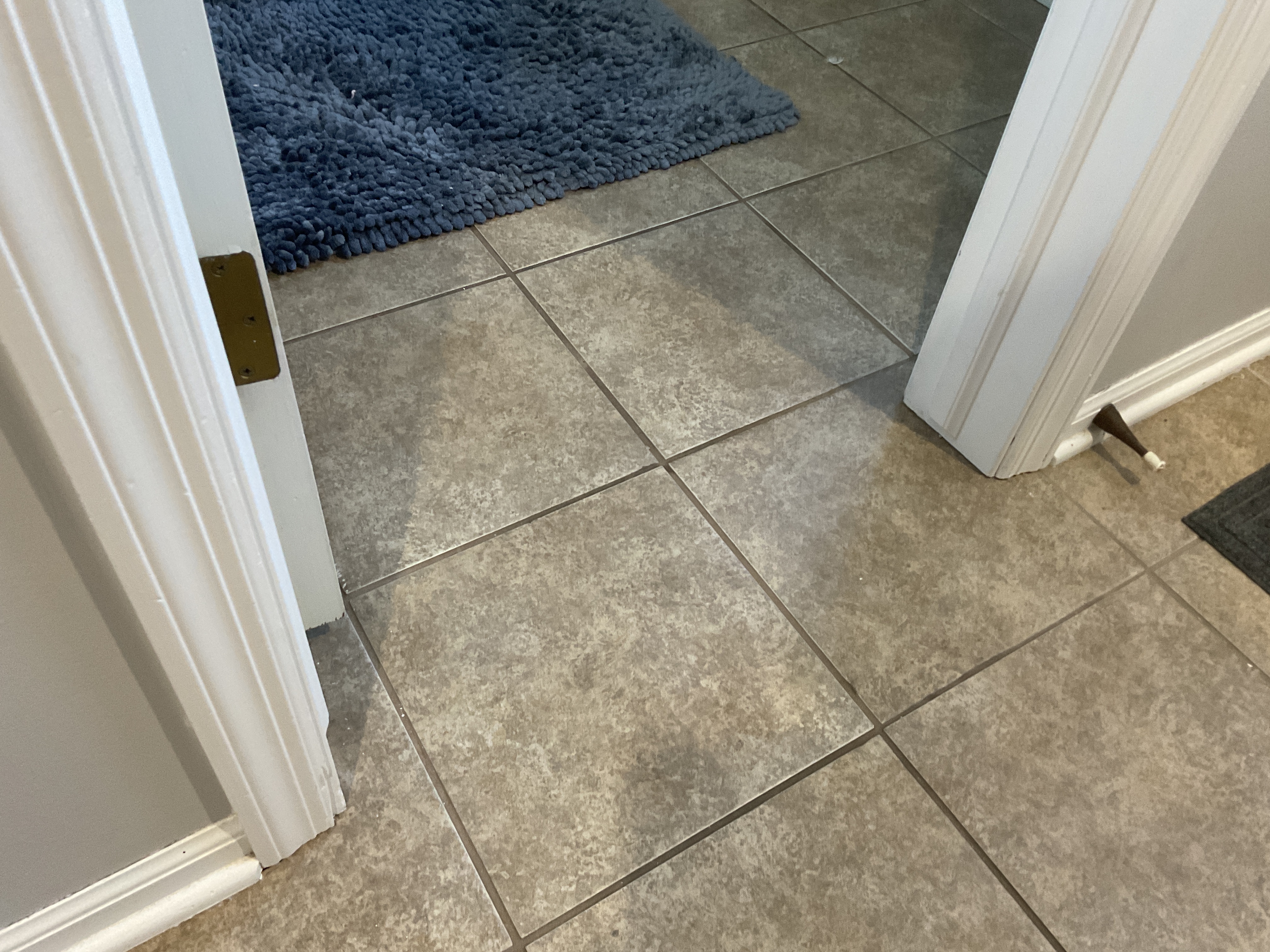 Help Needed: Tile Cutting Dilemma