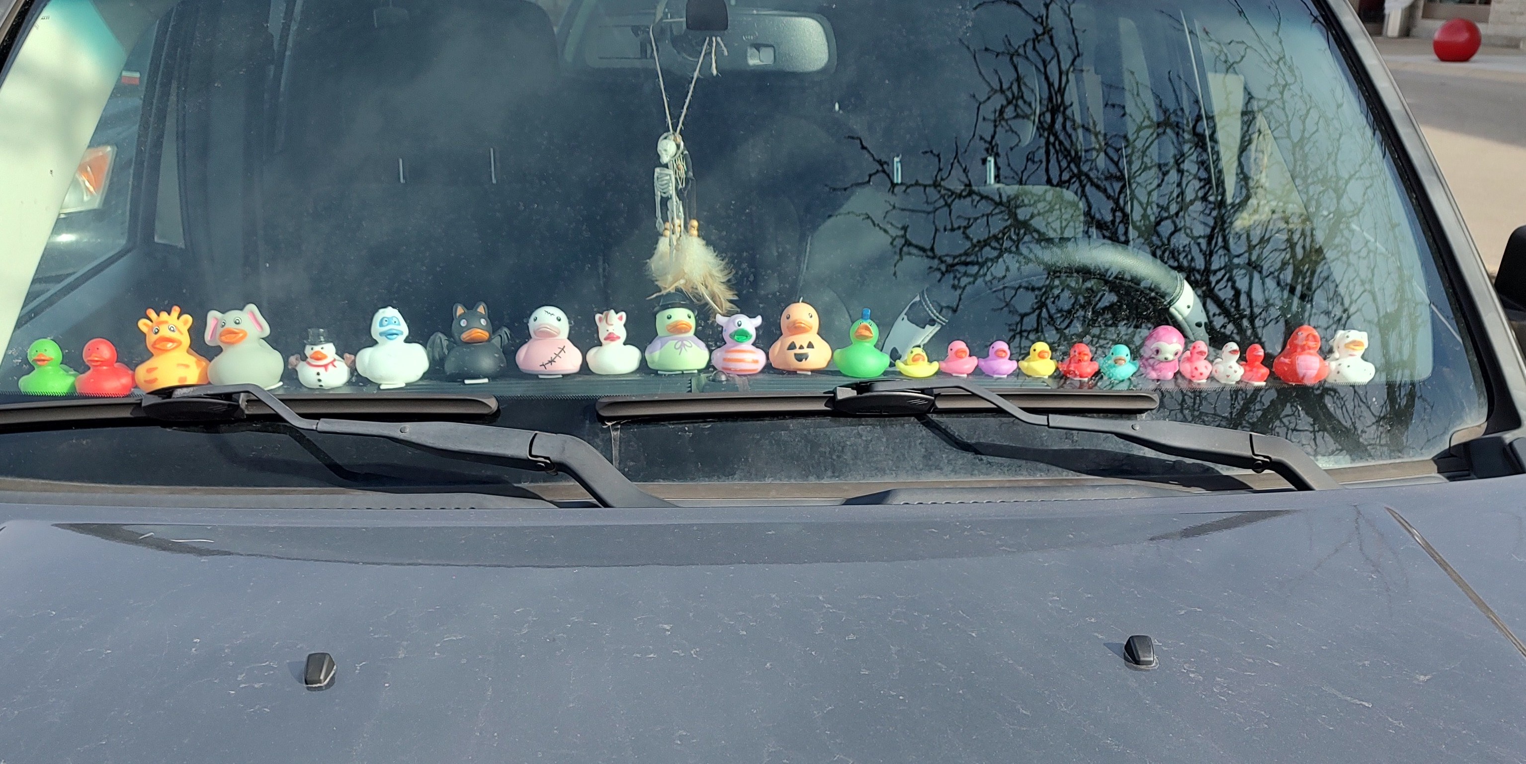 Rubber Duckies Taking Over Target Parking Lot - 02142025