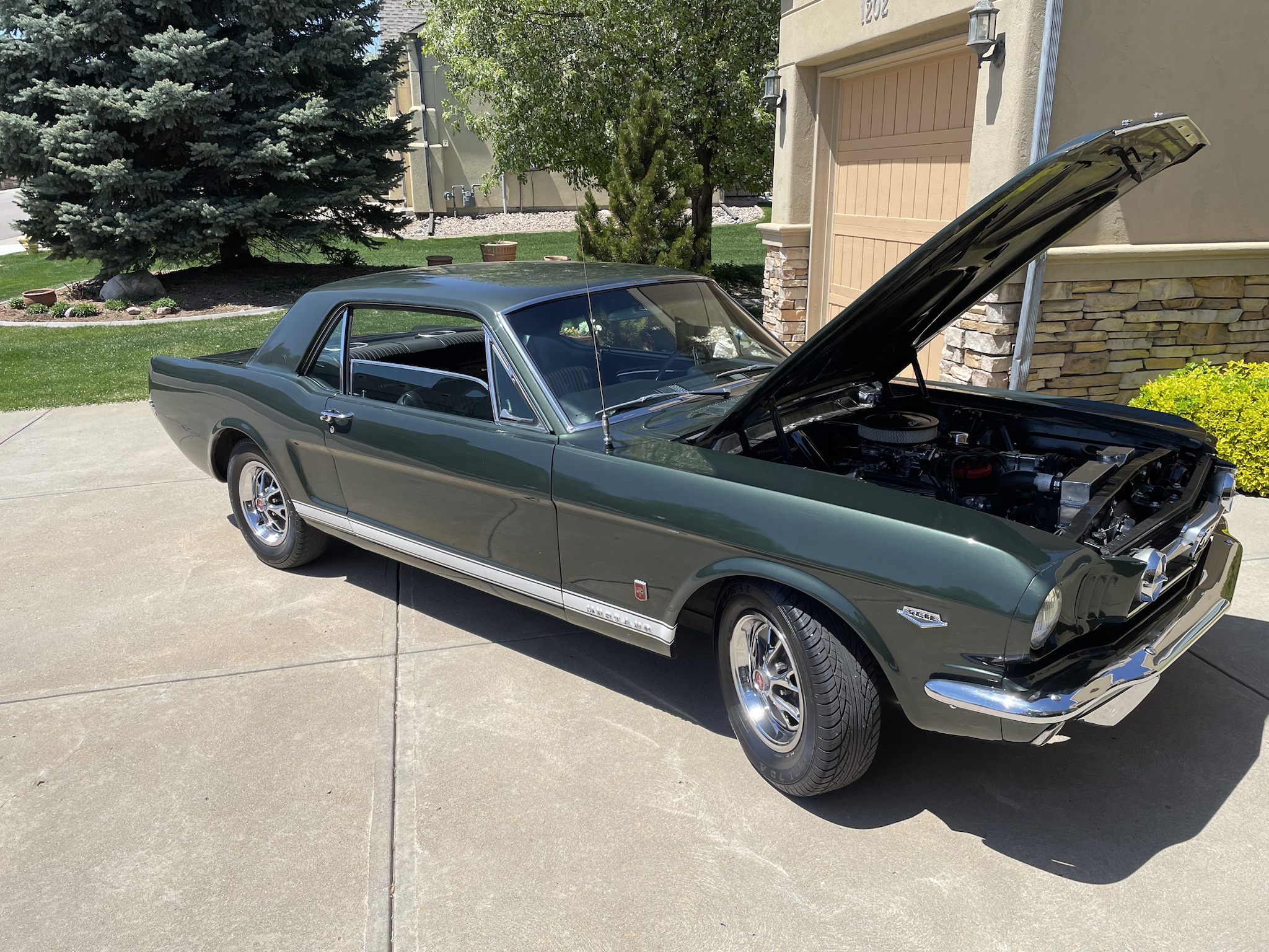 Meet my 66 GT Mustang: the ultimate money pit in progress!