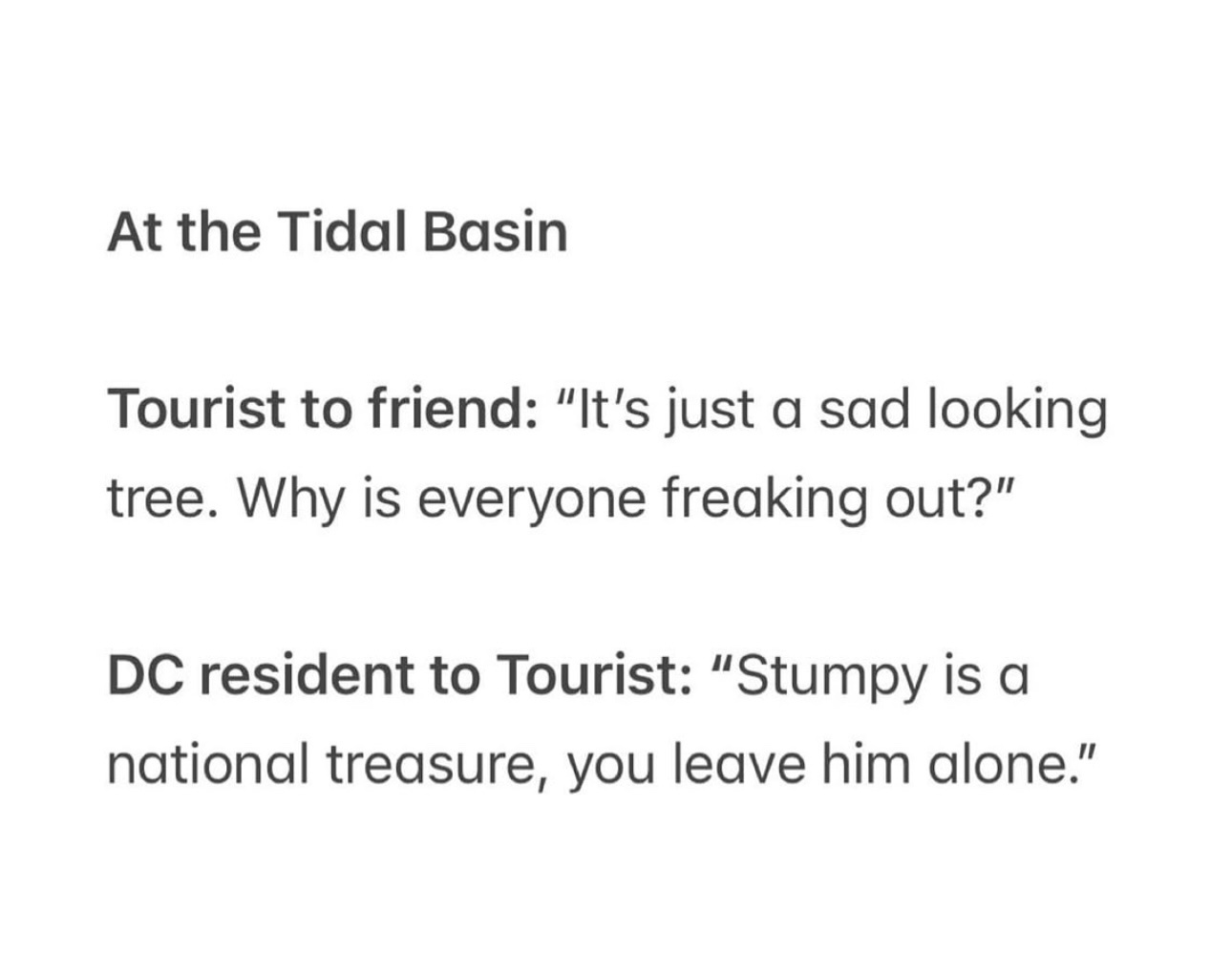 Quirky District Life Highlights