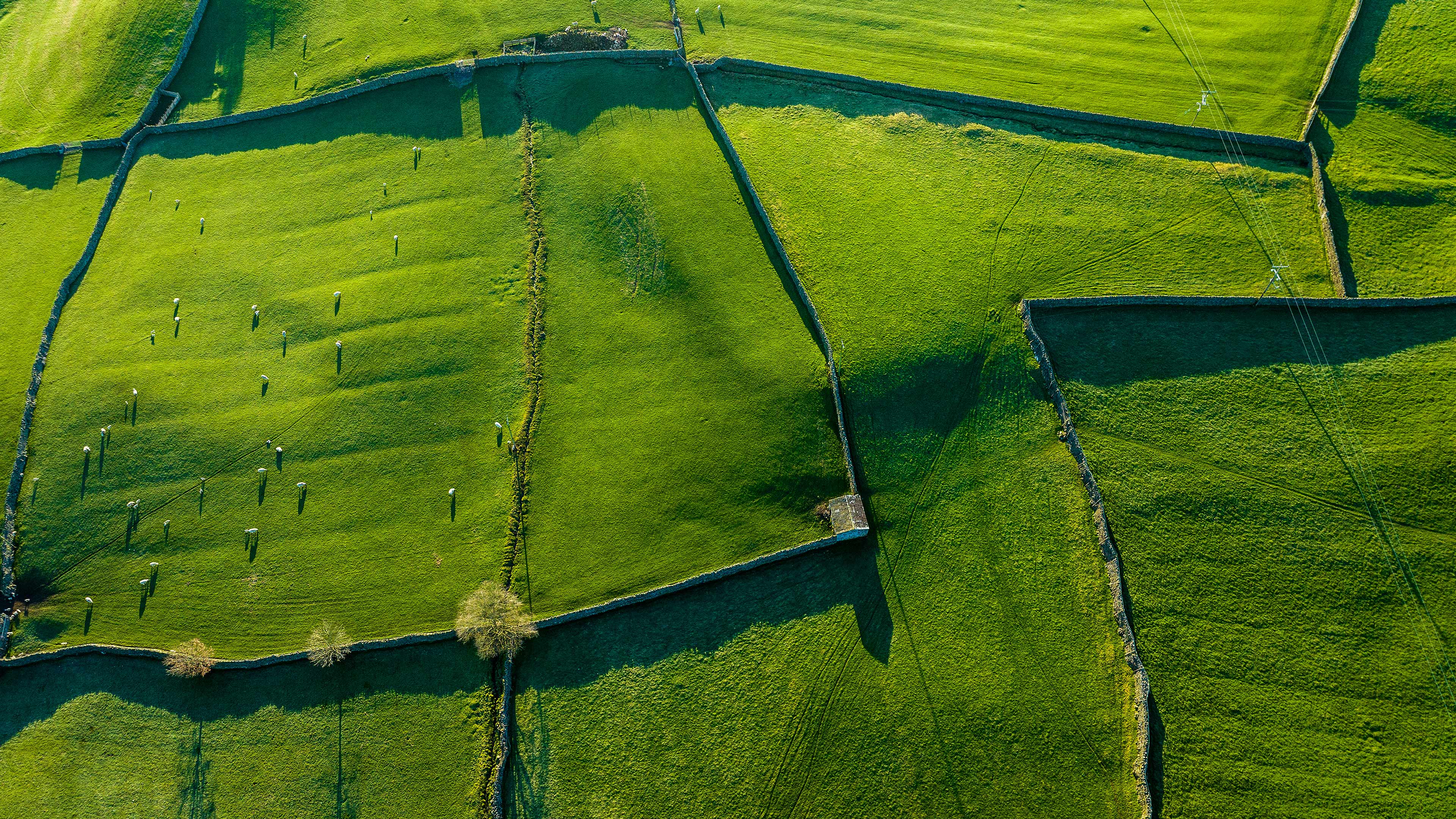 Exploring the Beauty of Hills, Dales, and Dry Stone Walls