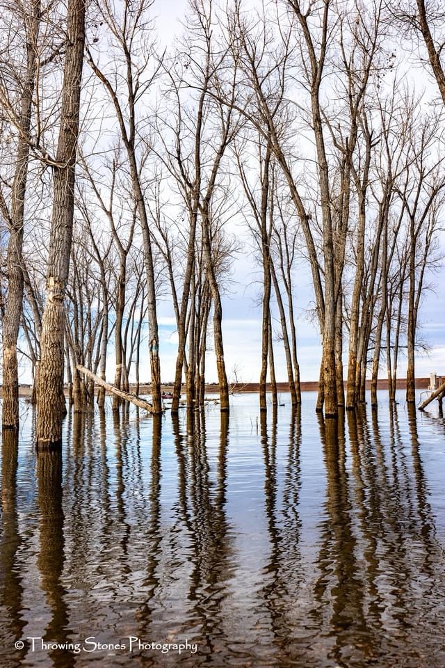 Stunning Reflections in Nature