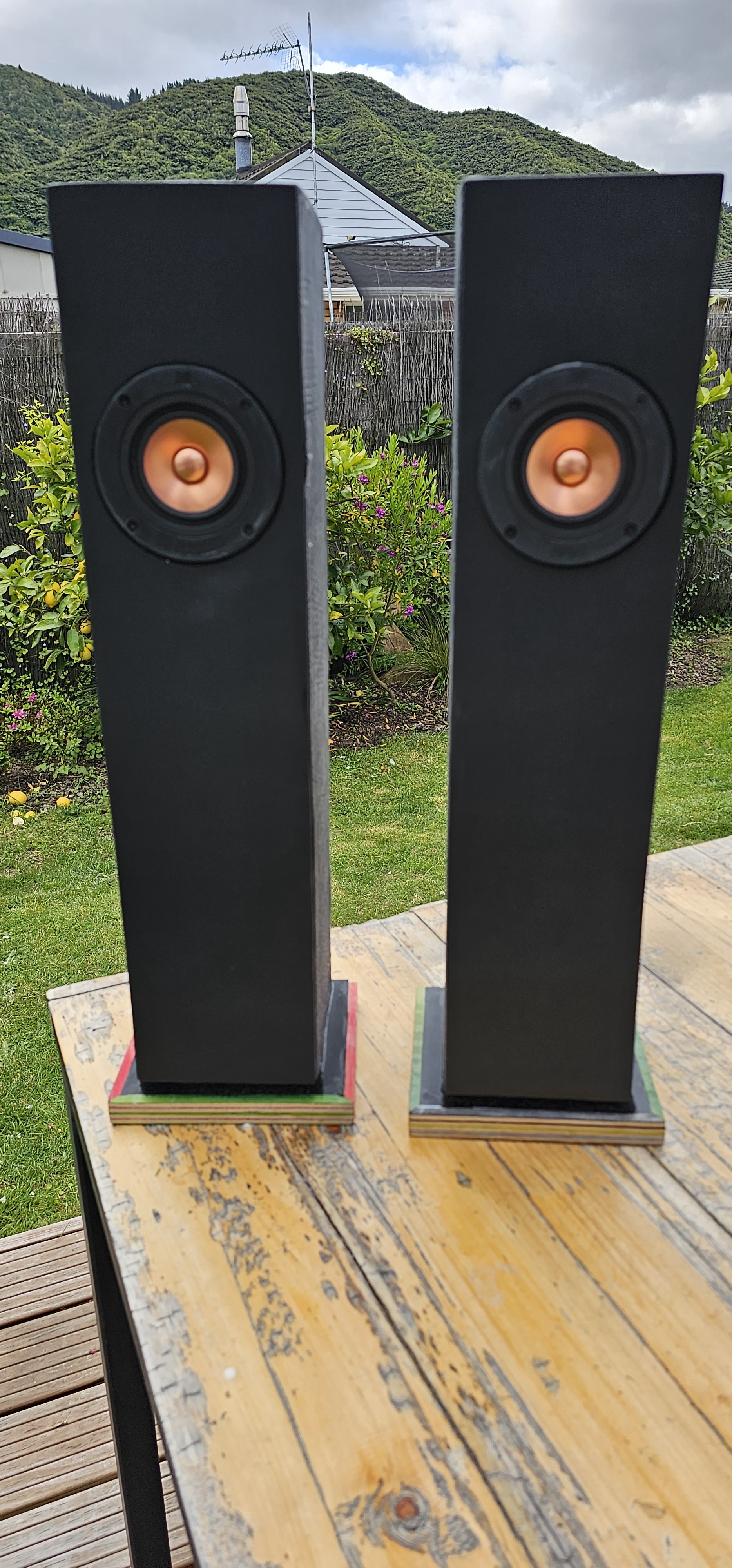 My Journey into the World of Speaker Building