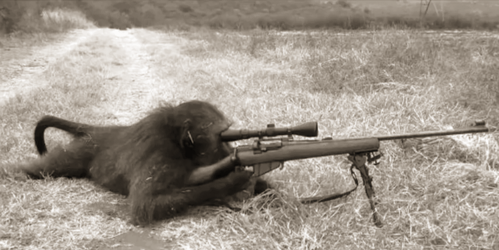 The Legendary Warrior of the Monkey Civilization: A Tale of Valor