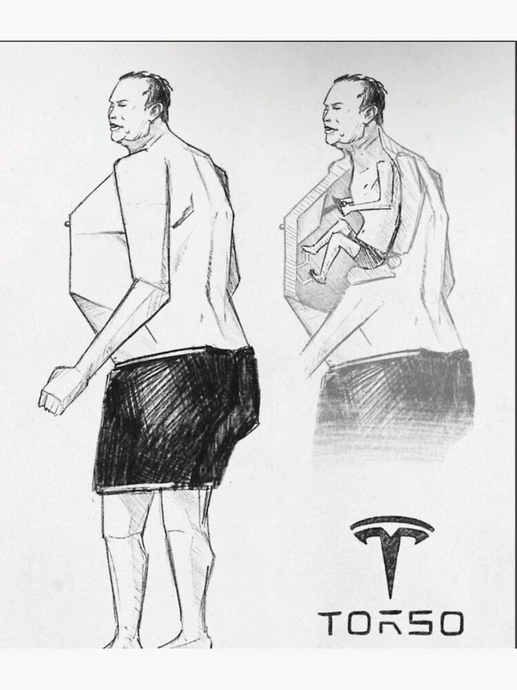 The Art of the Torso