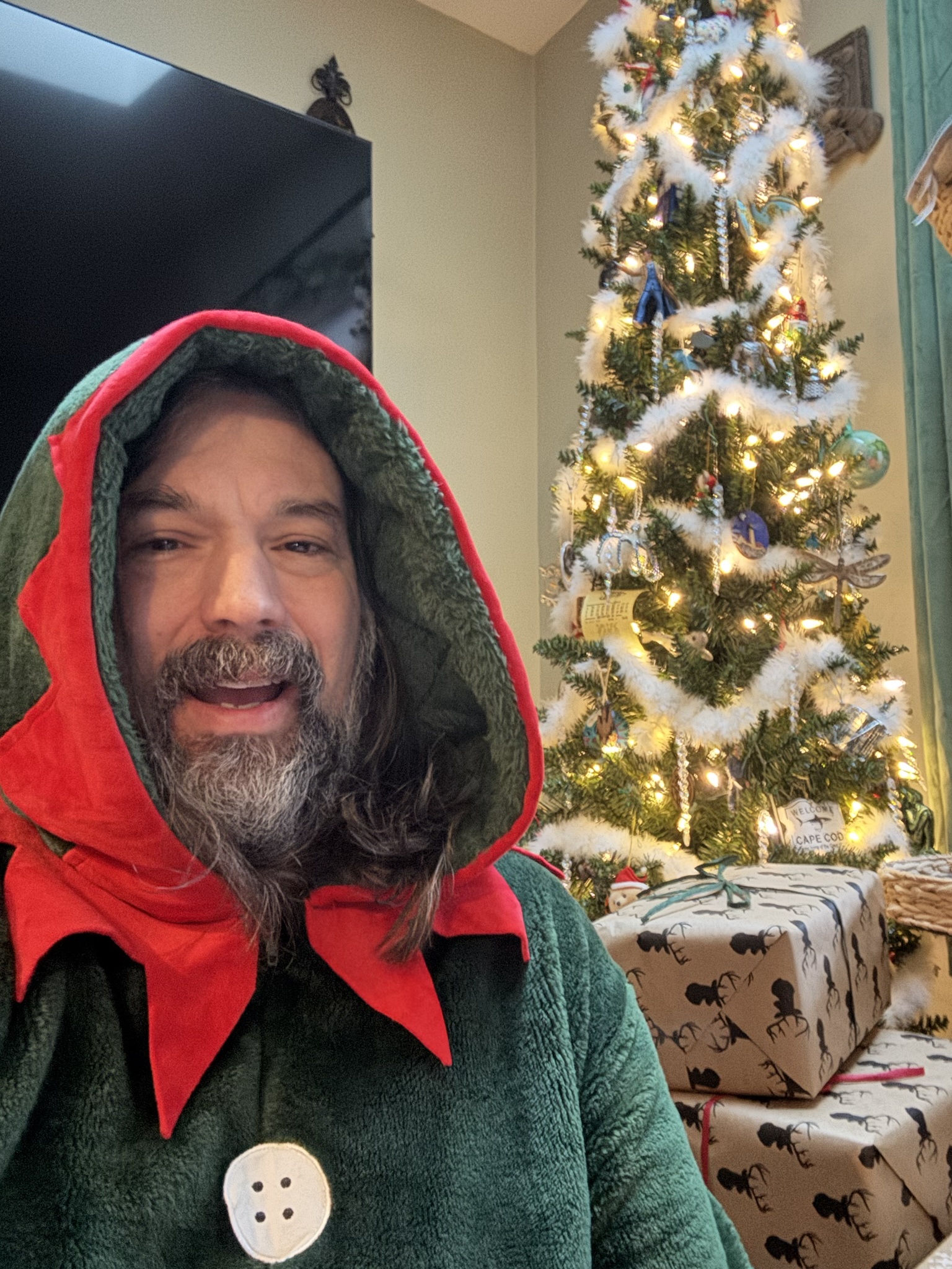 Sending you Merry Christmas wishes!