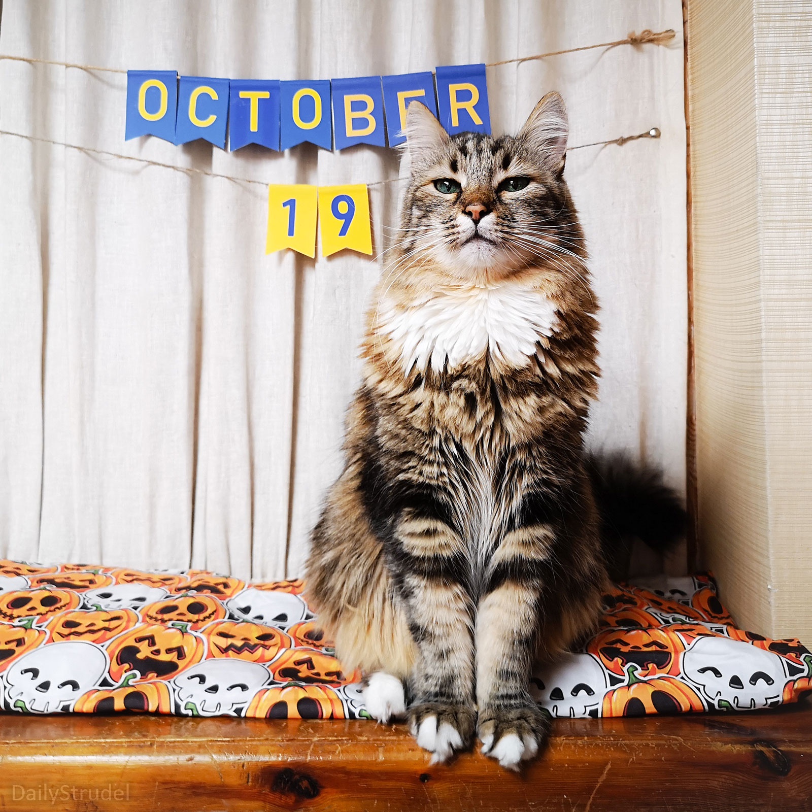 Mark Your Calendars for October 19