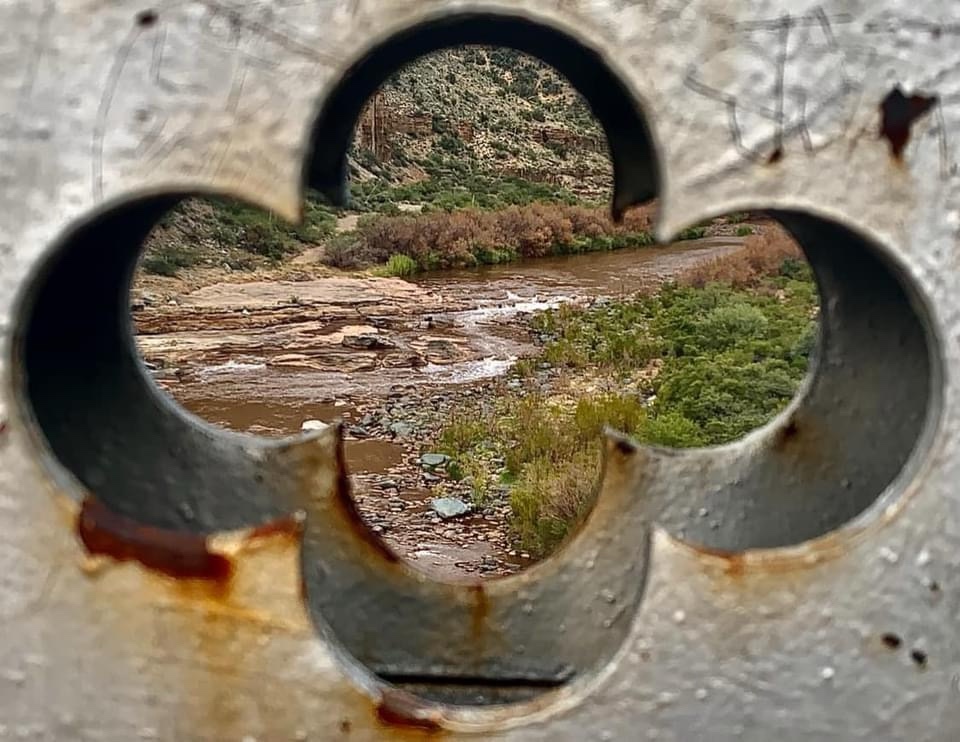 The Tranquil Beauty of a Serene Creek