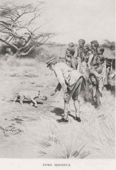 The Rare and Possibly Extinct North-eastern Black Rhino