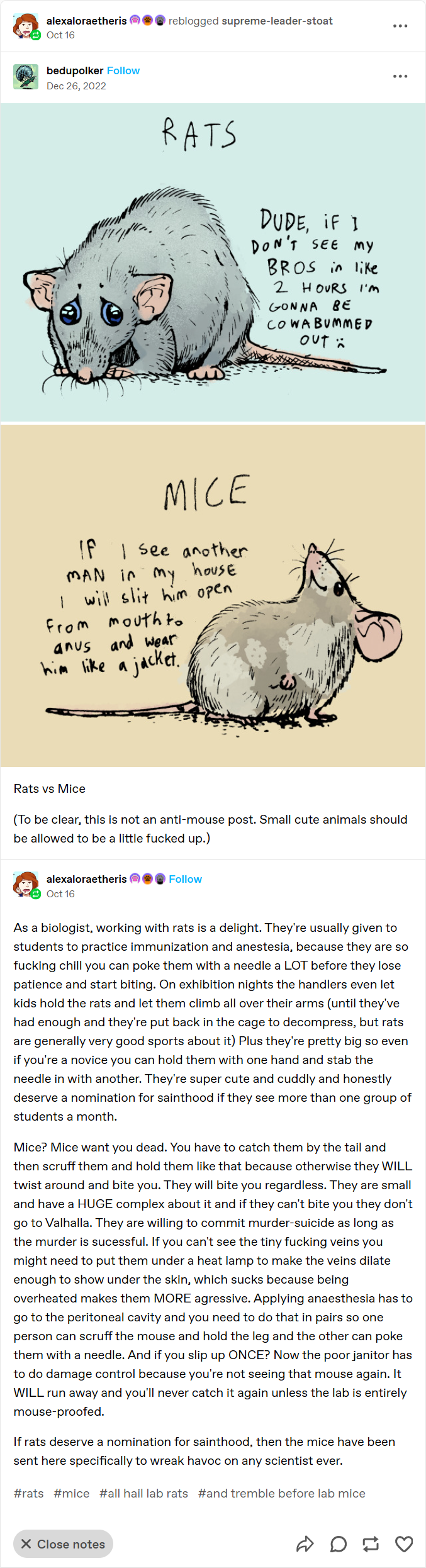 The Epic Showdown: Rats vs Mice