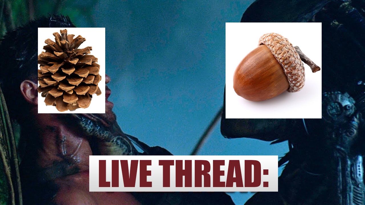 MEGATHREAD: The Epic Battle of Pinecone vs. Acorn - Join the Fight!