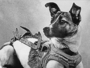 Celebrate Laika Day on November 3rd!