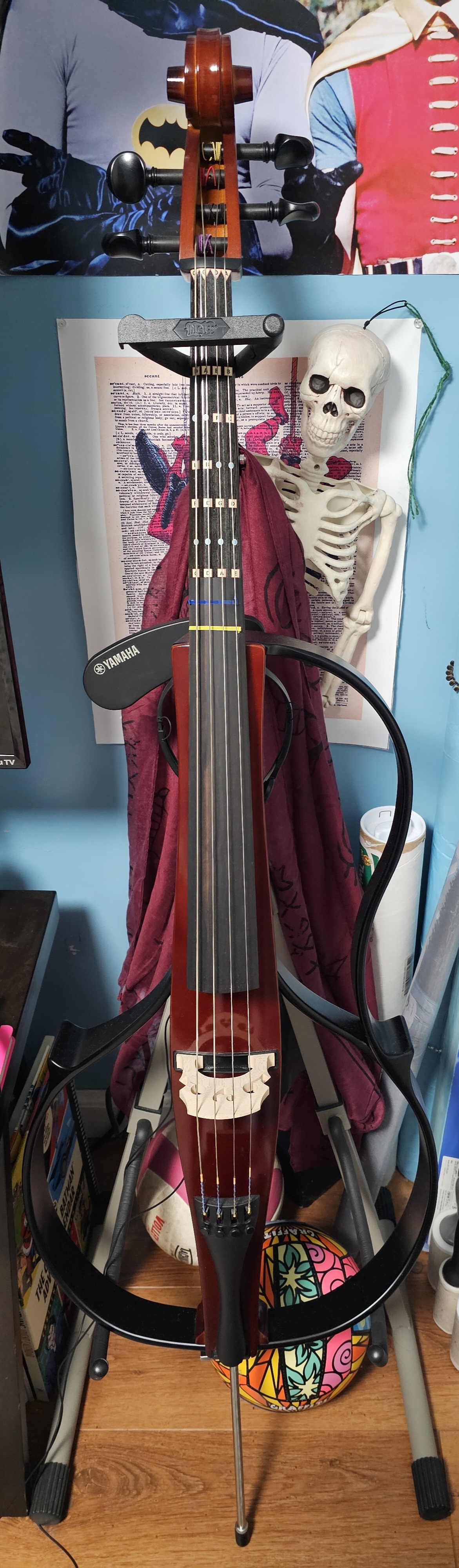 Hello there, Cello!