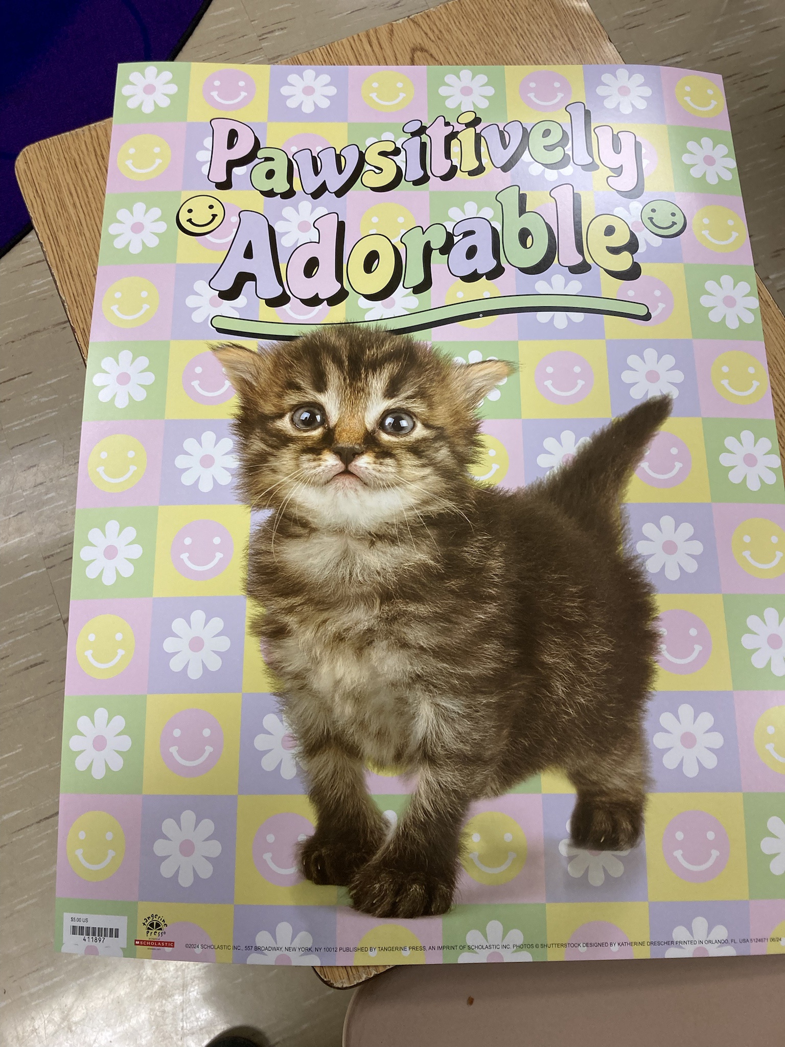 A Childhood Dream Realized: My Scholastic Book Fair Fantasy Comes True!
