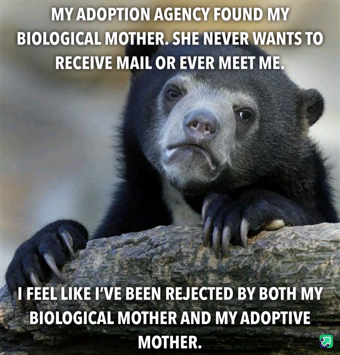 The Heartwarming Conclusion of My Adoption Journey