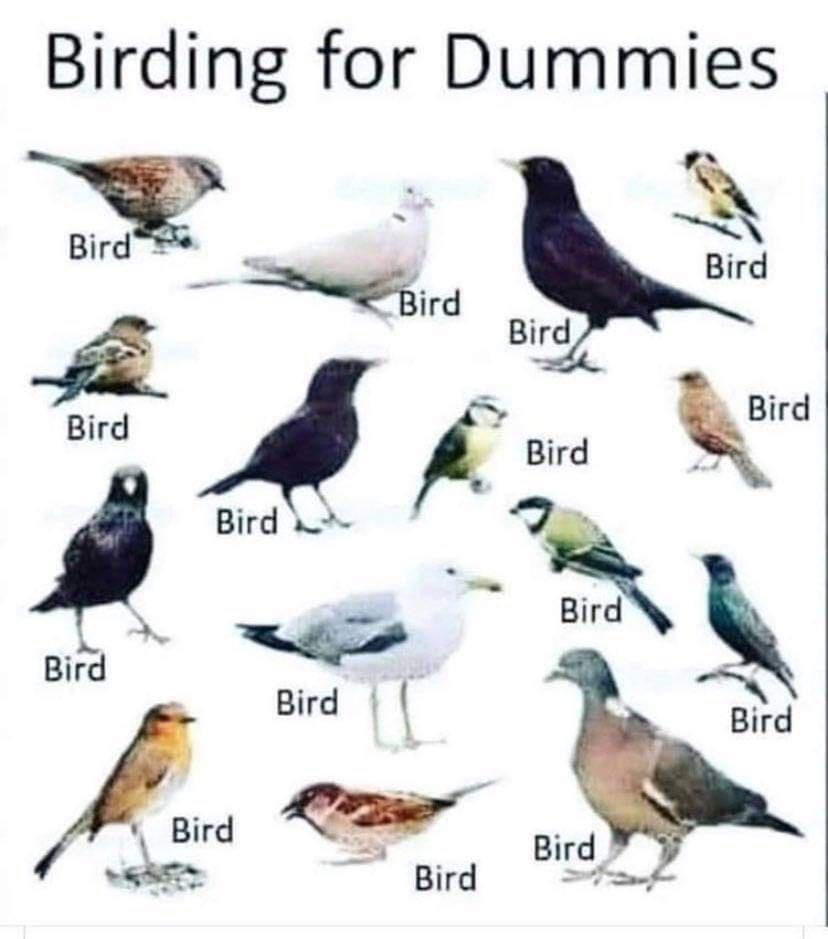 Unloading the Final Batch of Bio/Science Memes for Your Enjoyment - Part III