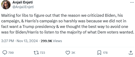 Our Intentions Were Clear: Targeting Biden and Harris, Not Handing Trump the Presidency