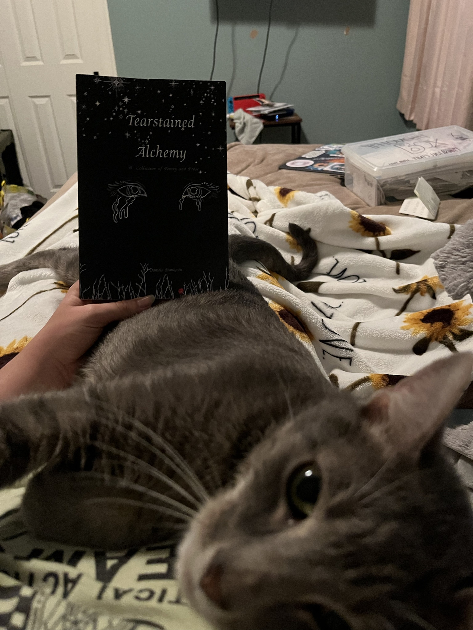 My passions include writing poetry and showering love on cats.