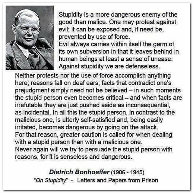 Stupidity has become a weapon, and I’m at a loss for how to fight back.