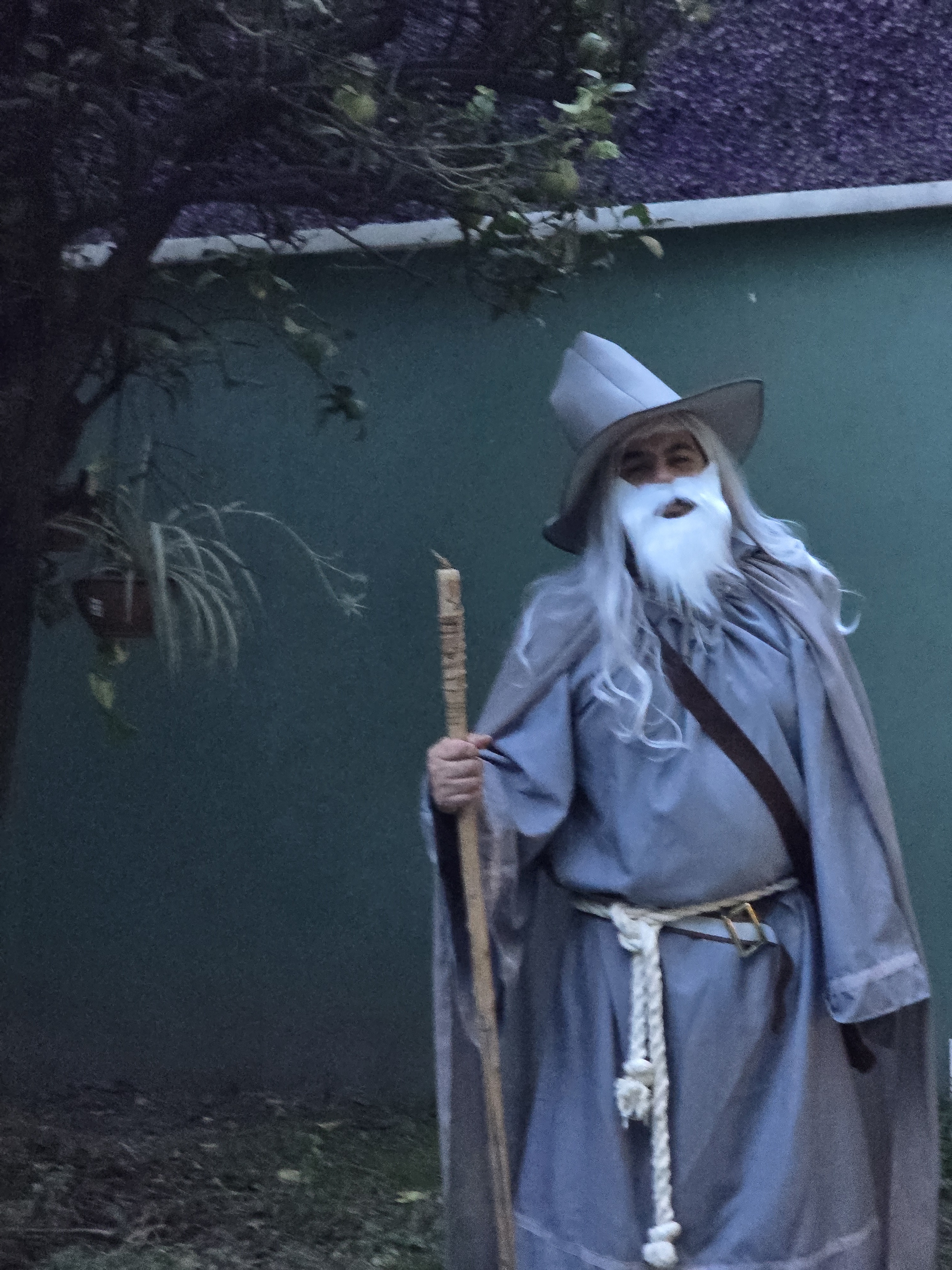 A Wizard's Timely Halloween Post: Right on Schedule!