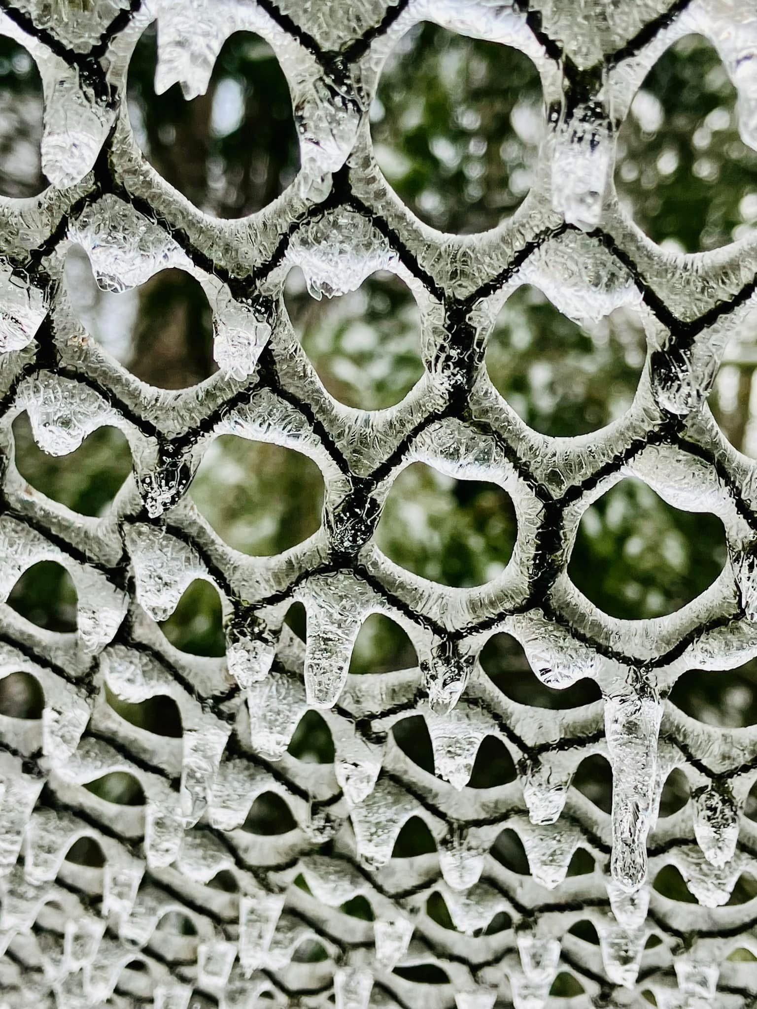 The Icy Barrier: A Frozen Fence Adventure