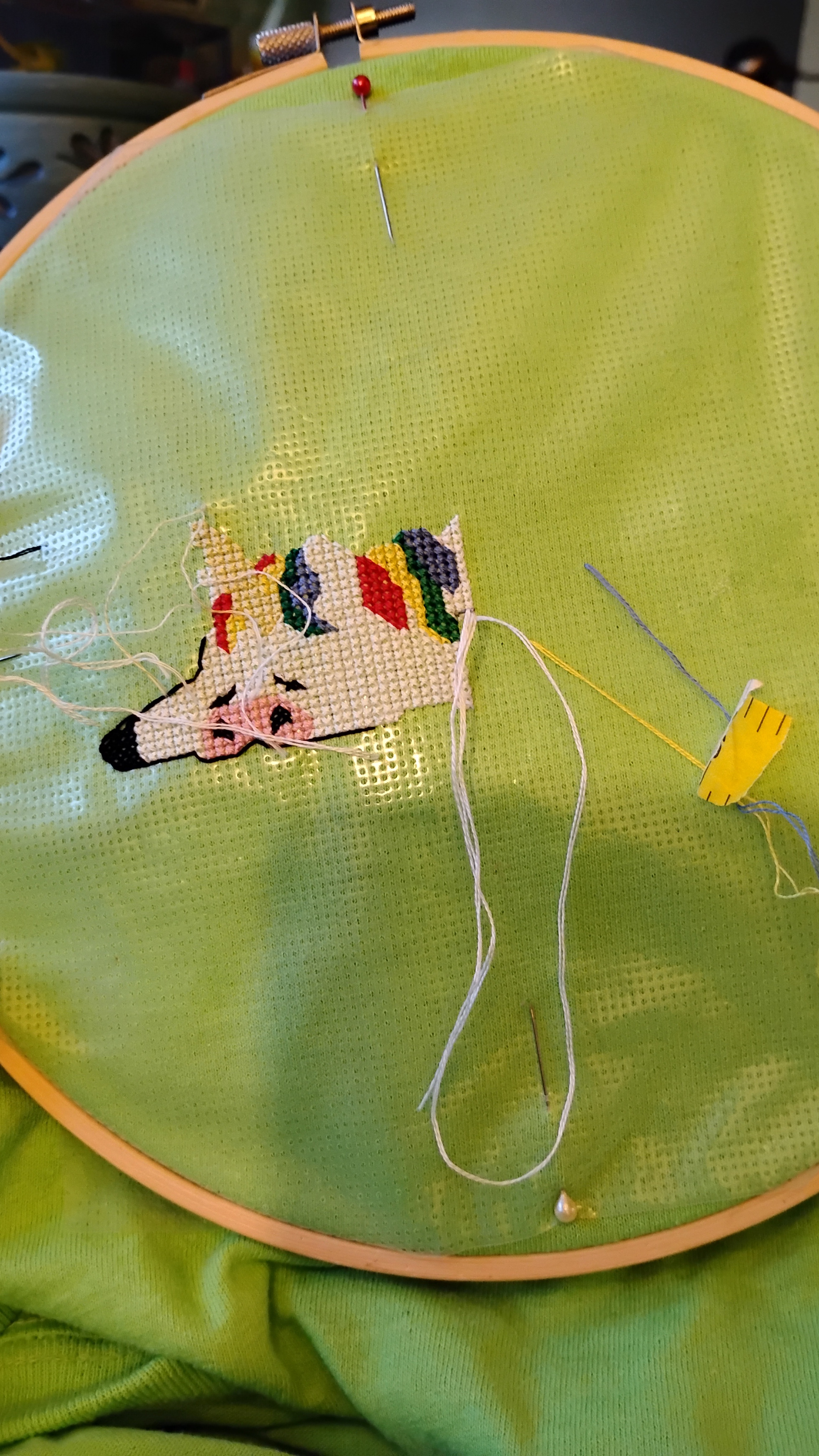 On to the Next Unfinished Project!