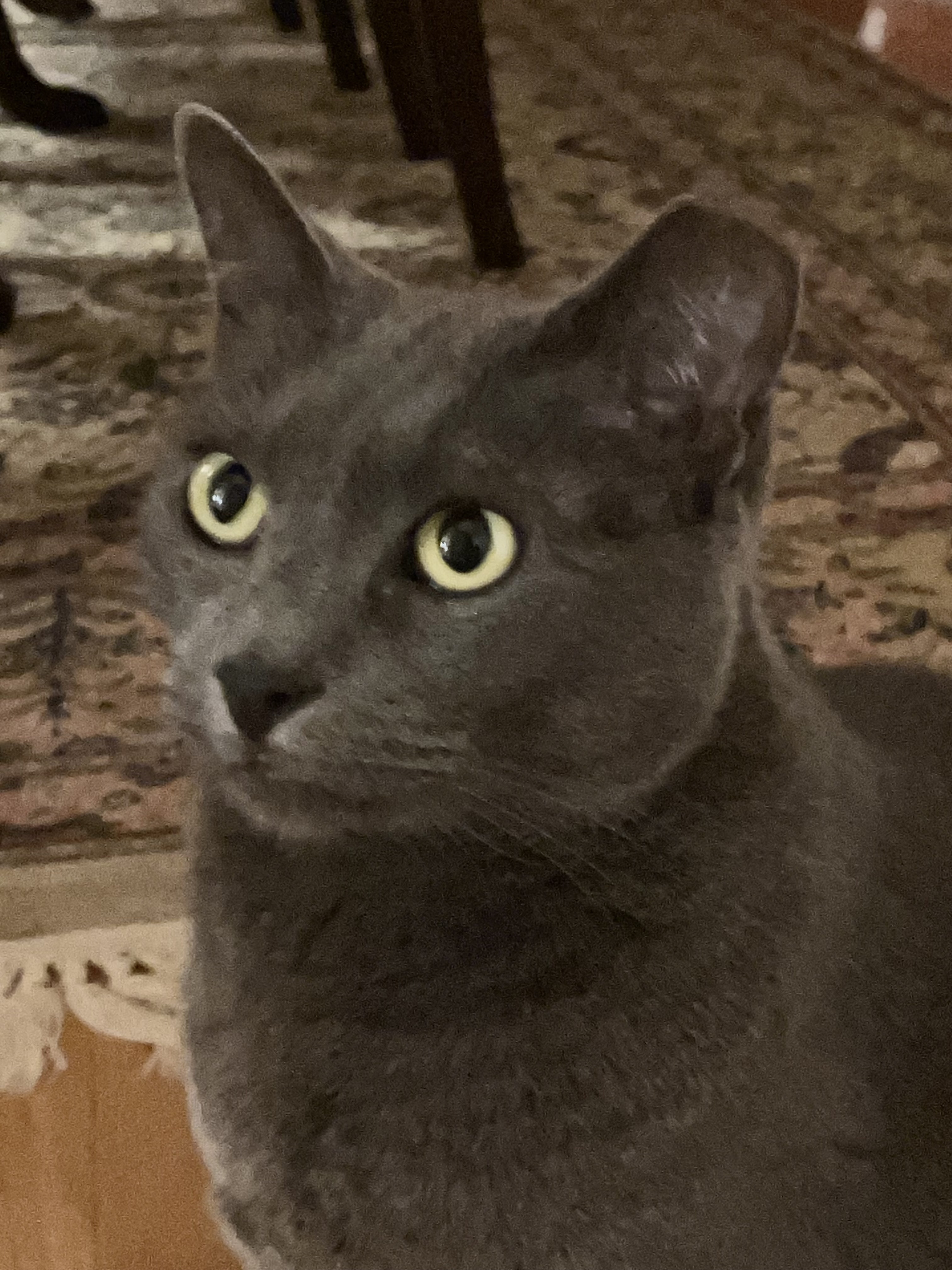 Daily Snick Pic #108 – A Must-See!
