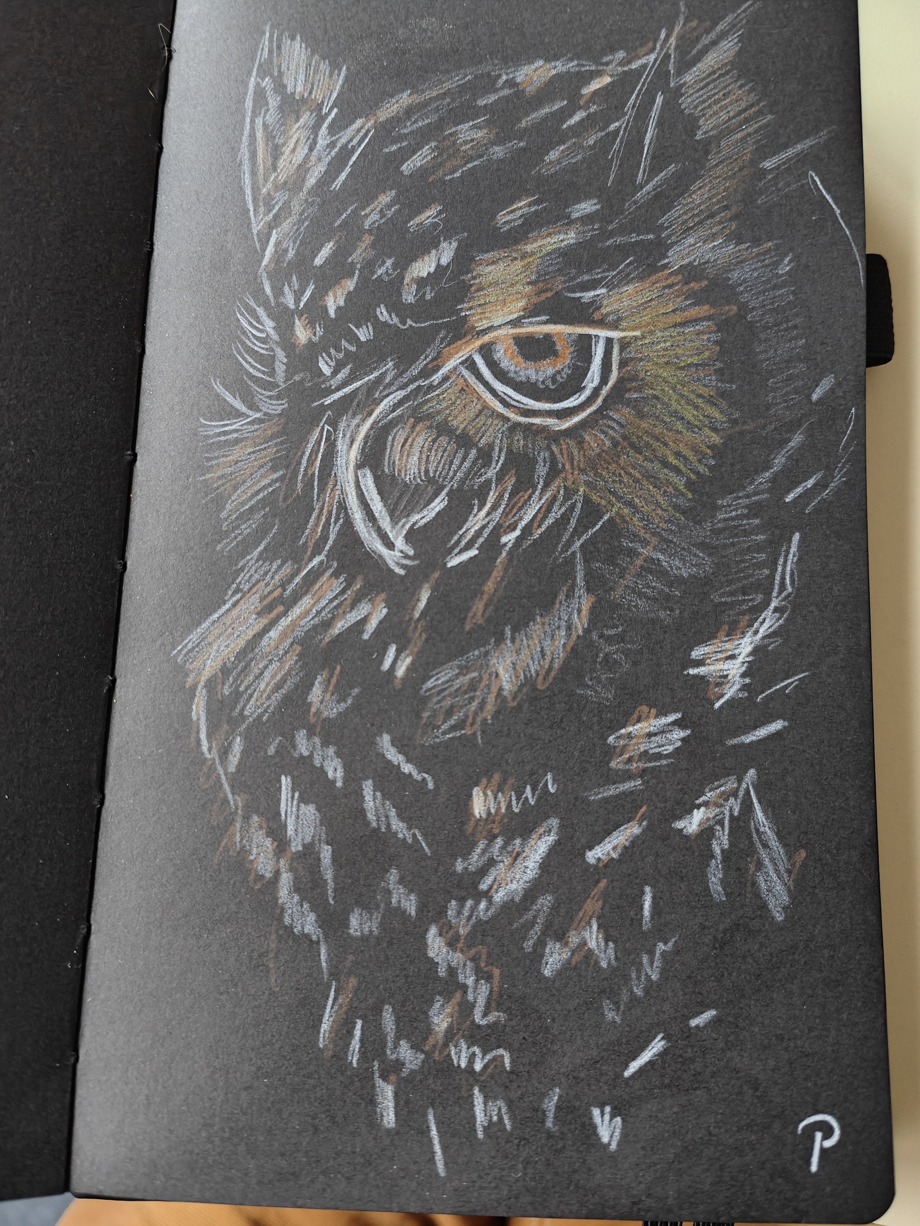 The Wise Owl: Nature's Symbol of Knowledge