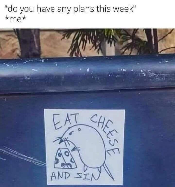 A fantastic Christmas plan that everyone will love!