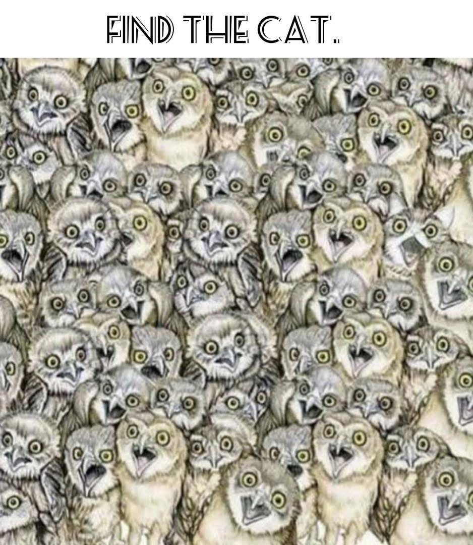 Meme Dump: Lucky 13 - Celebrating Christmas Eve with a mix of fun!