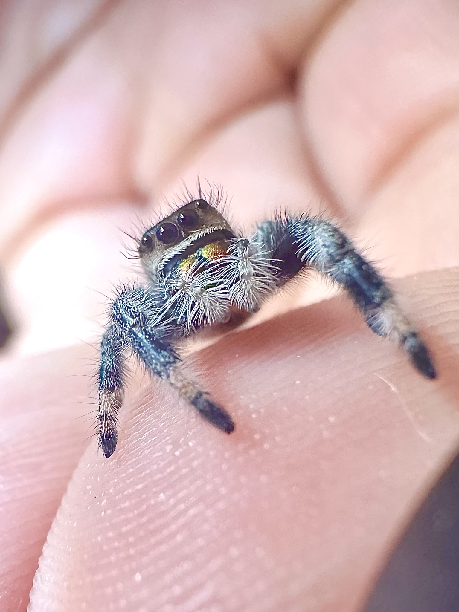 Happy Wednesday, My Spooky Friends!