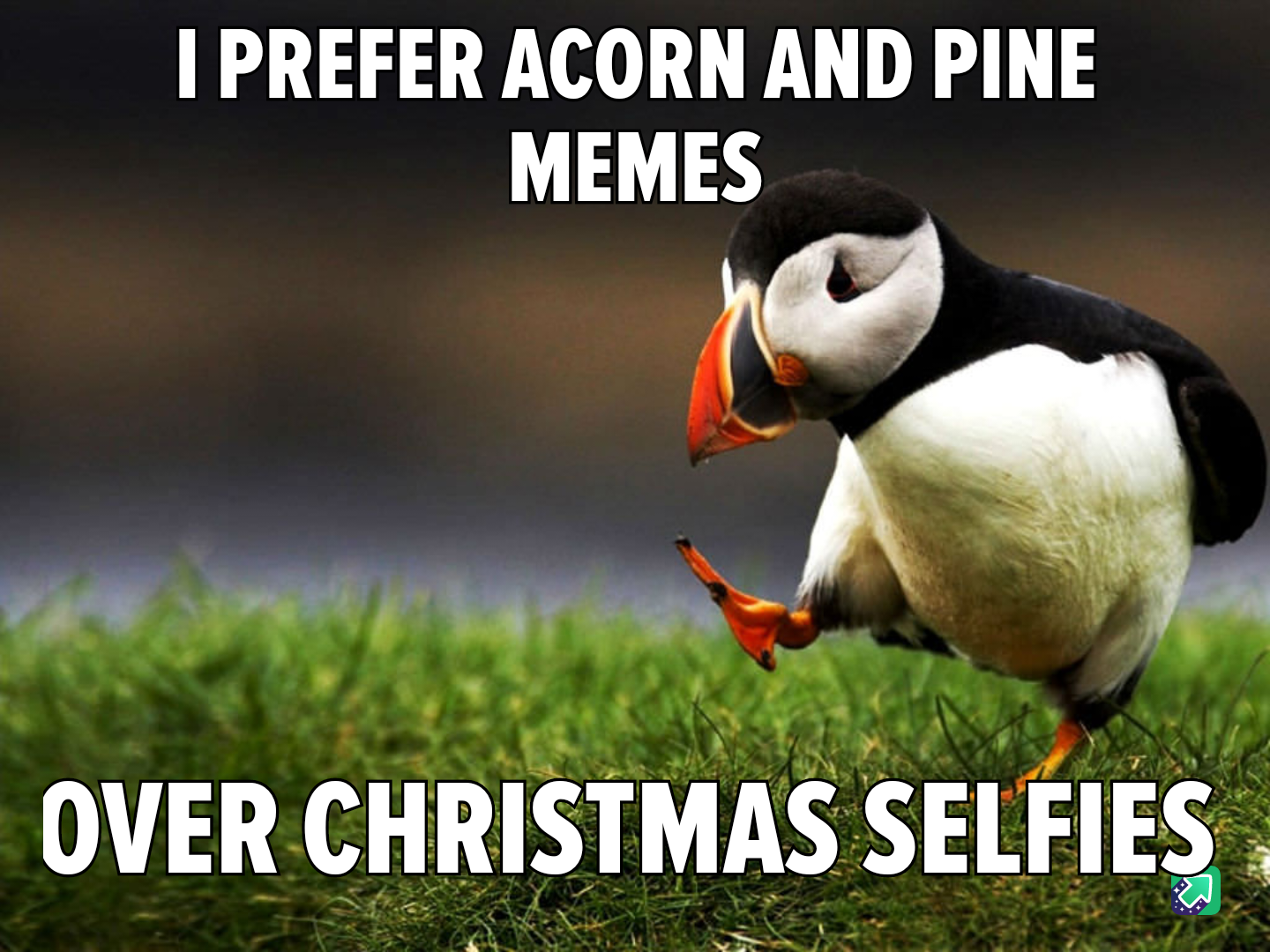 Christmas Selfies: Making Imgur Feel Irrelevant for a Day of Disconnect