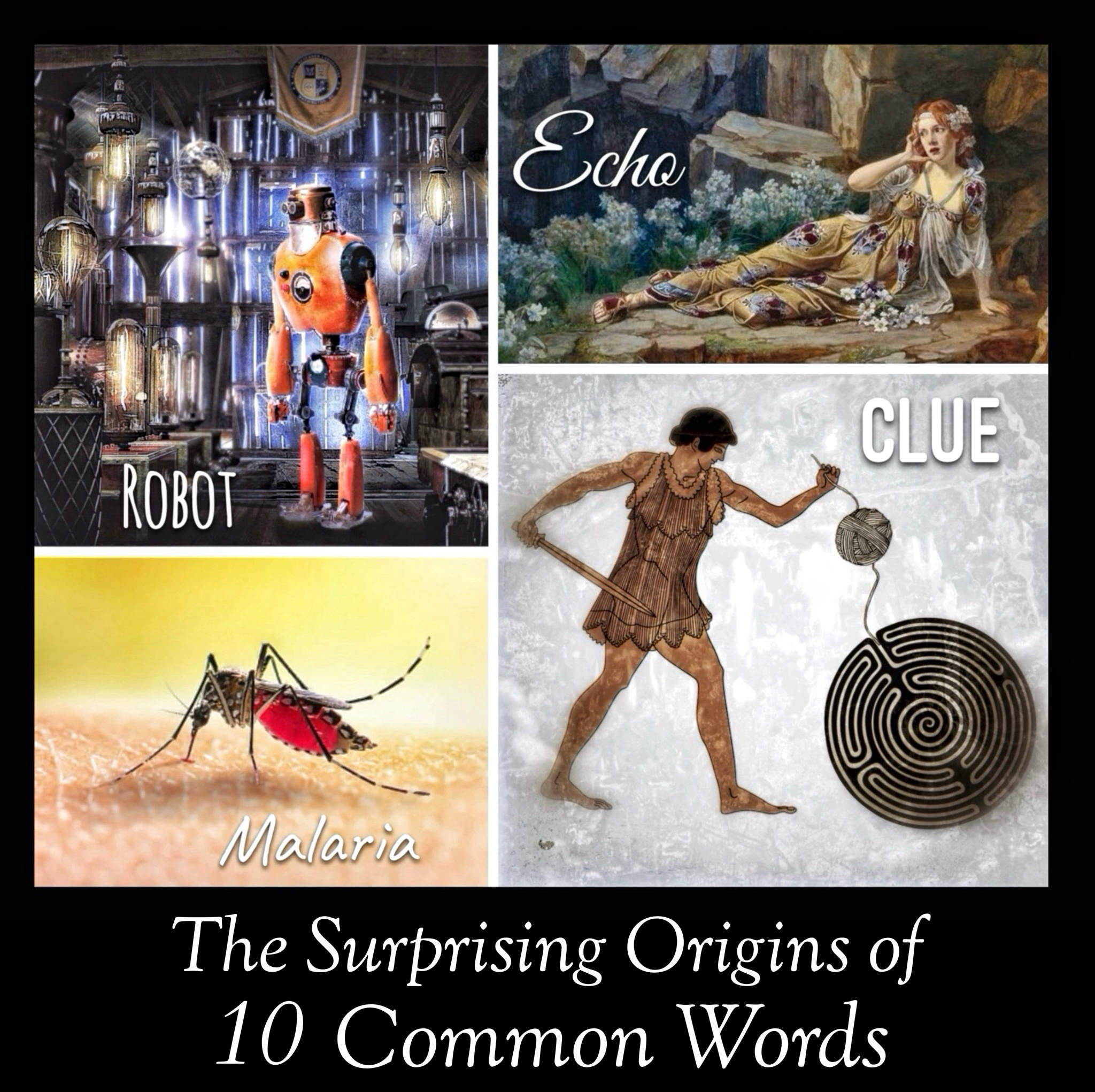 Discovering the Unexpected Origins of 10 Everyday Words