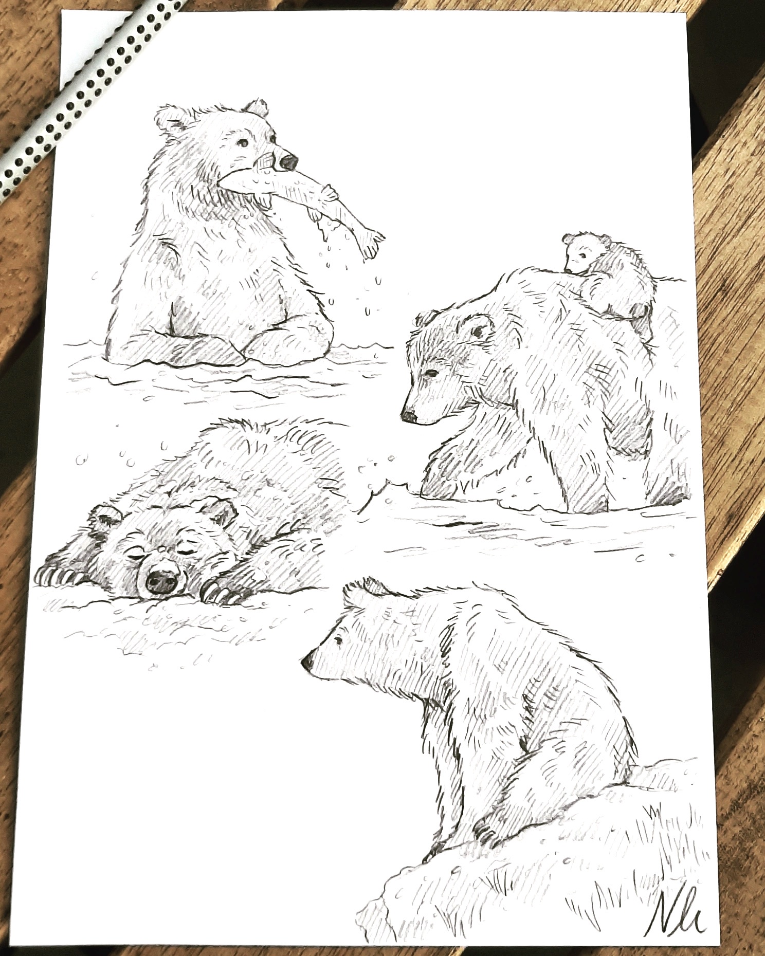 My Artistic Tribute to Bears